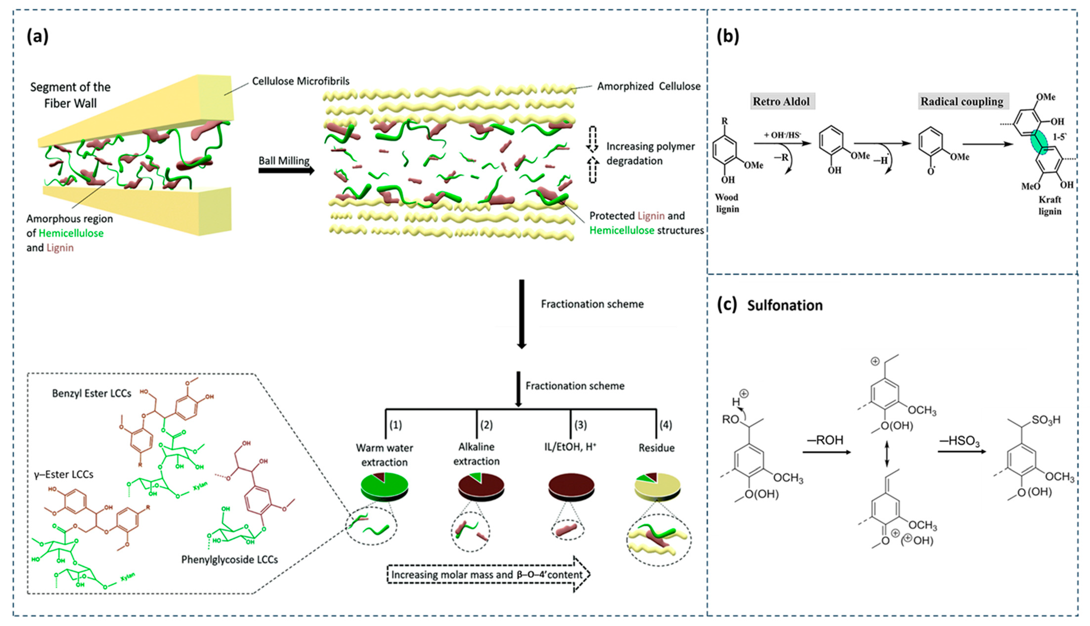 Polymers 16 02488 g002