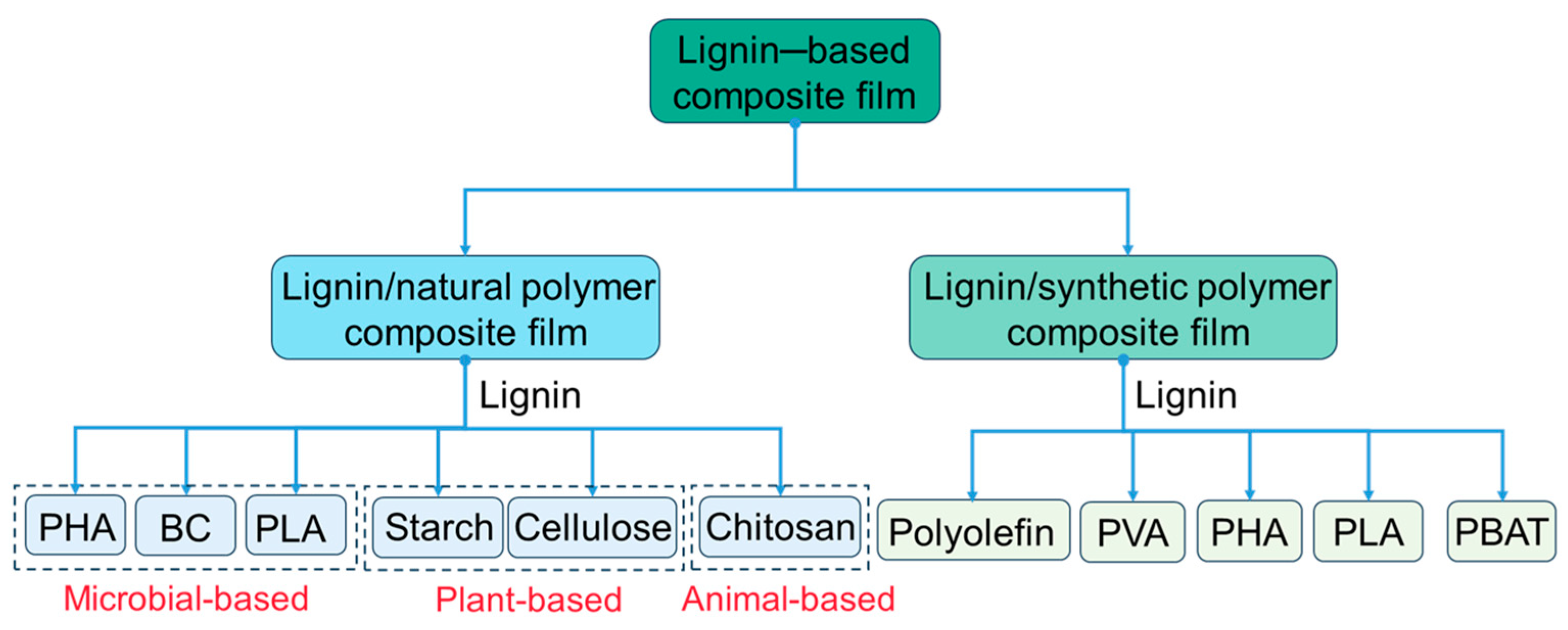 Polymers 16 02488 g003