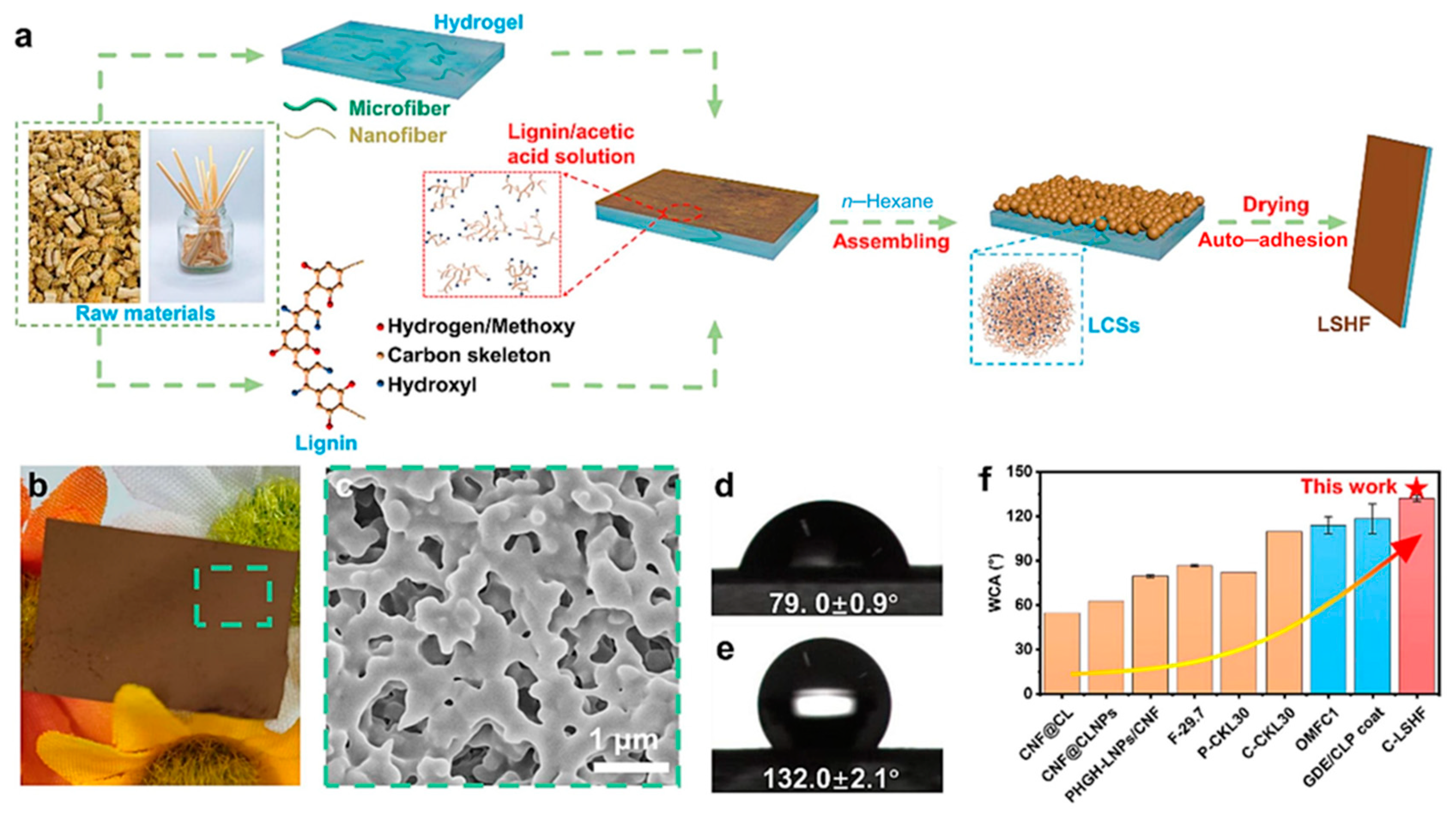 Polymers 16 02488 g004