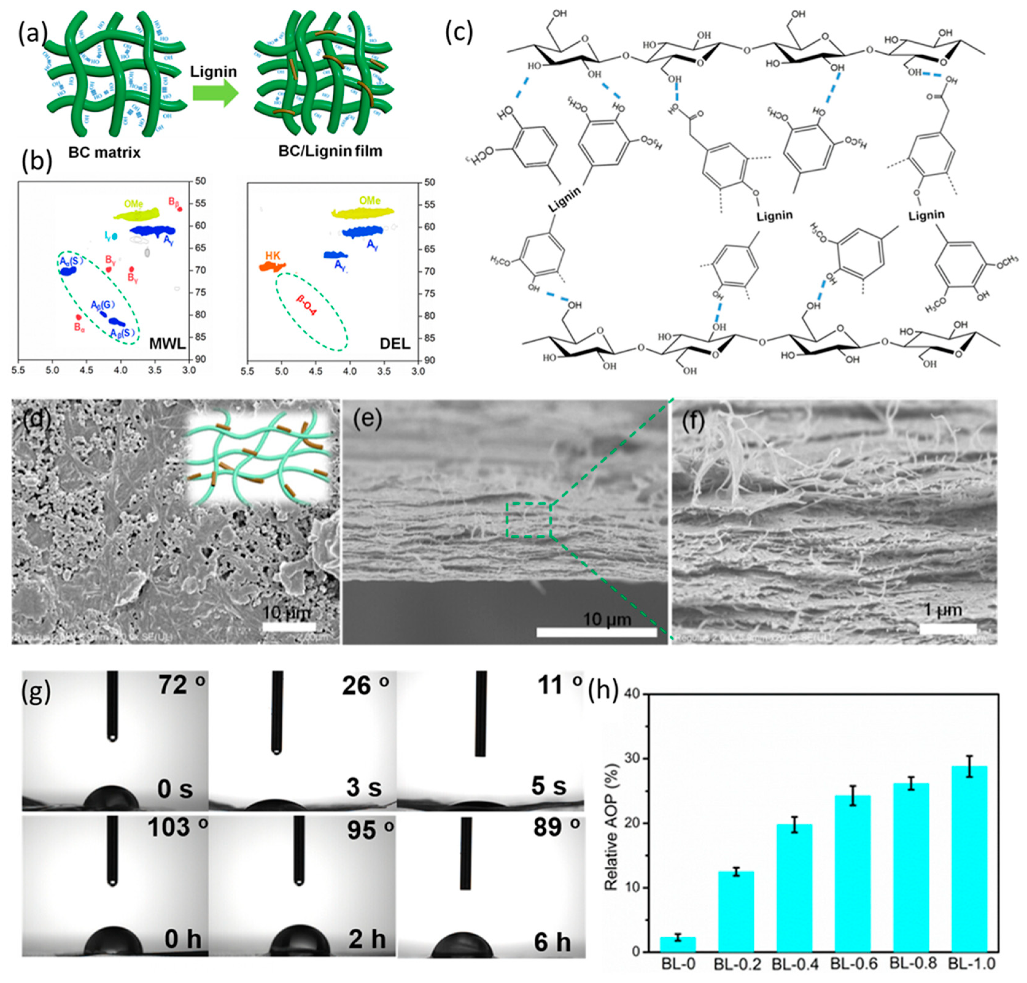 Polymers 16 02488 g005