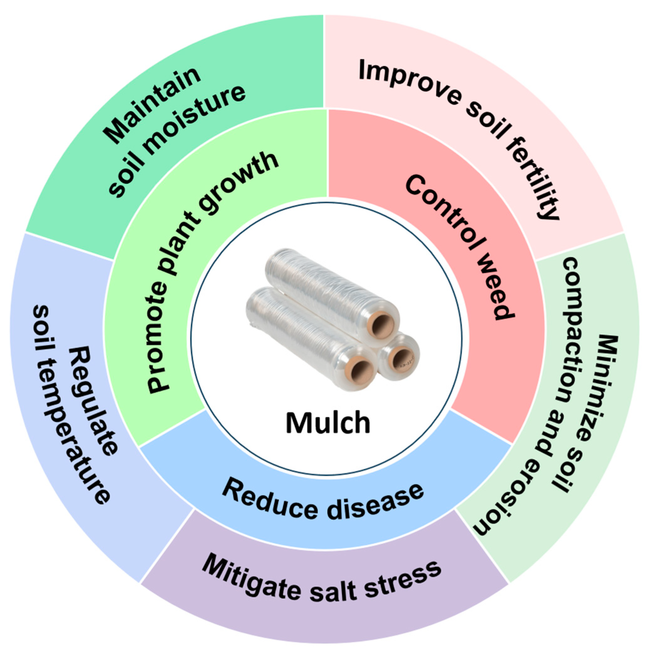 Polymers 16 02488 g007