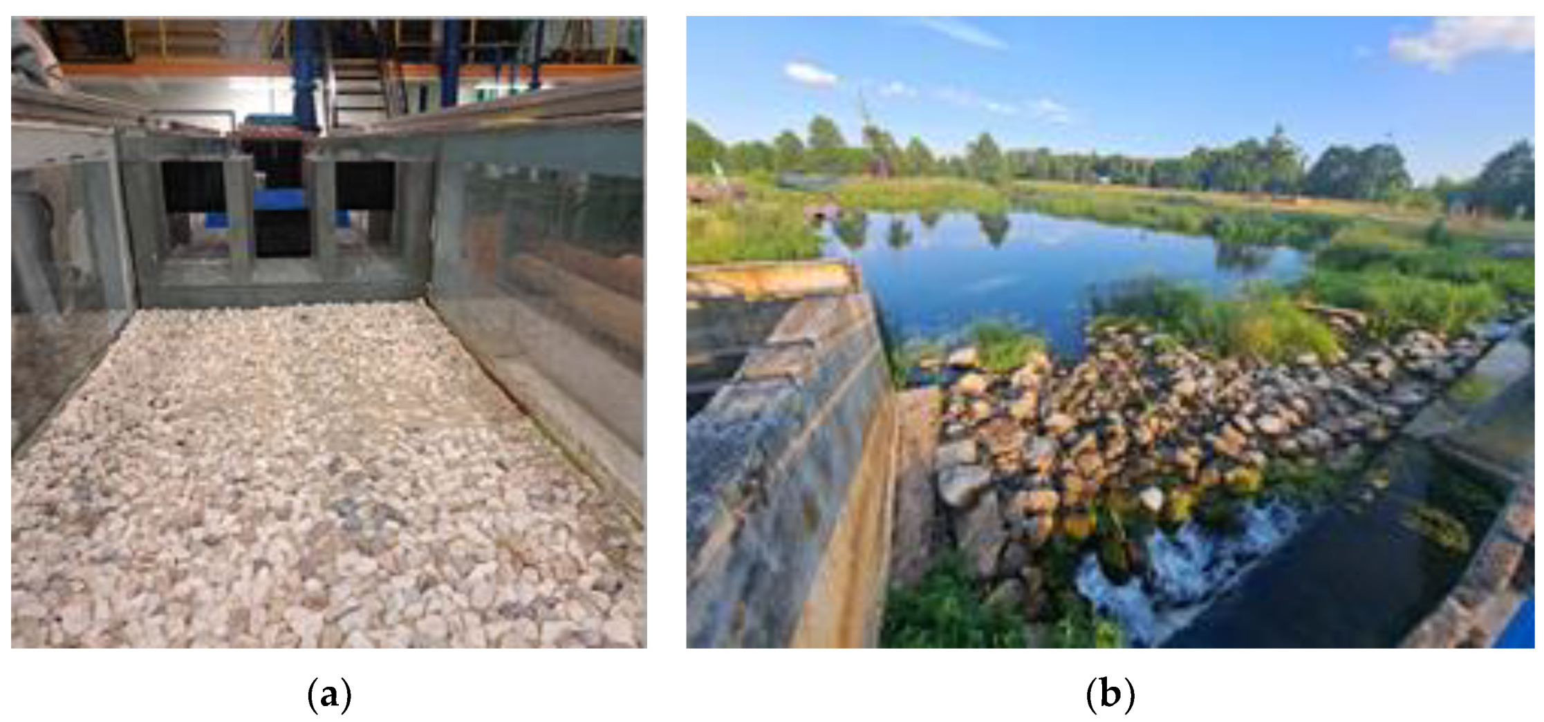 Polymers 16 02490 g007