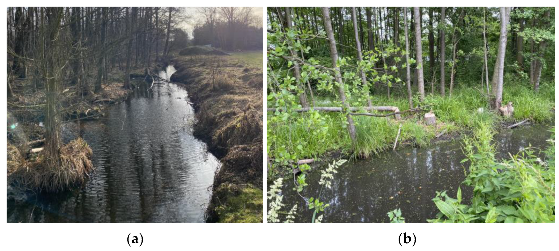 Polymers 16 02490 g016