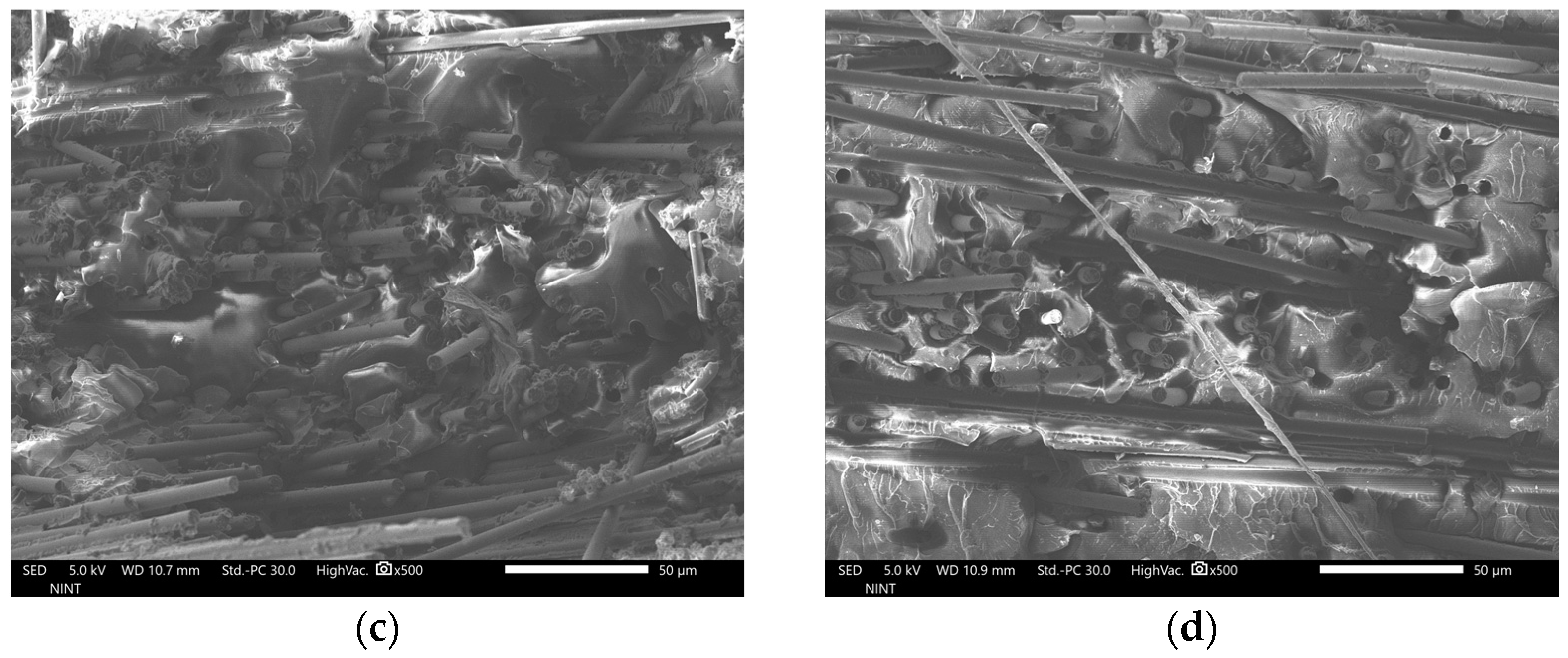 Polymers 16 02491 g003b