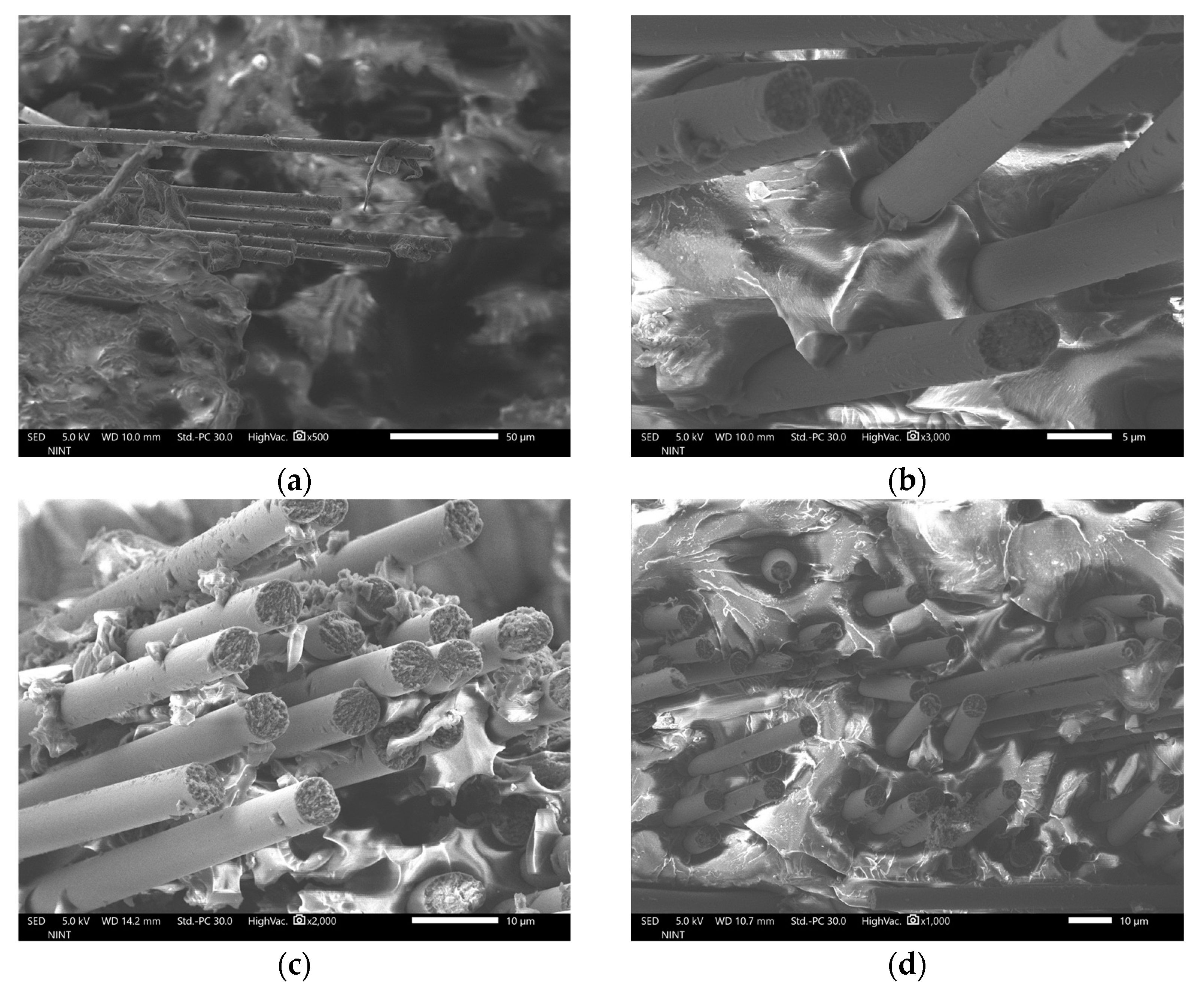 Polymers 16 02491 g004