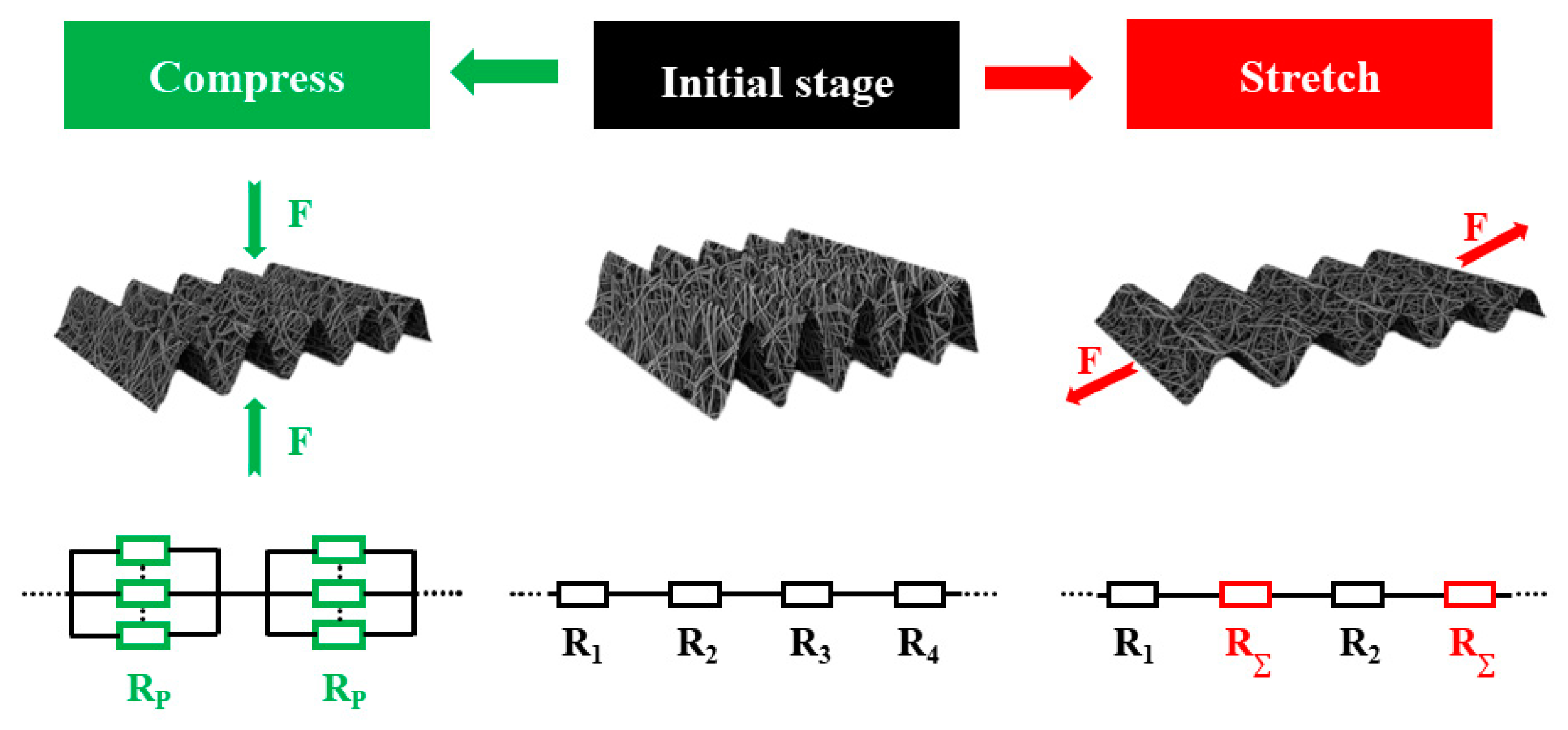 Polymers 16 02496 g004