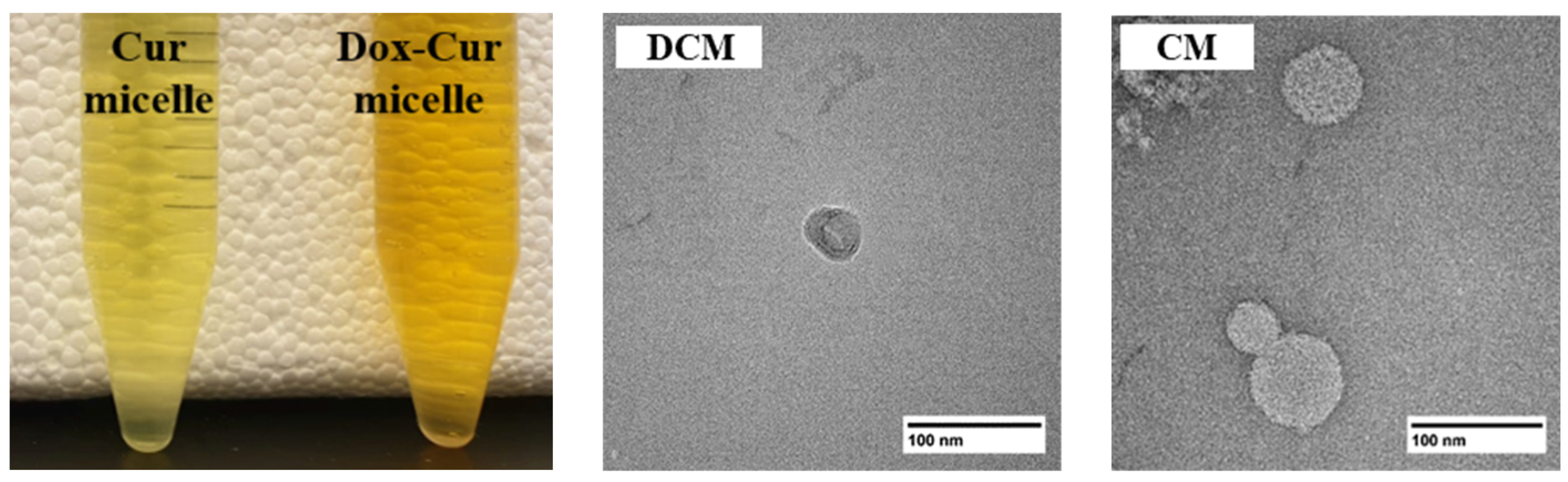 Polymers 16 02498 g002