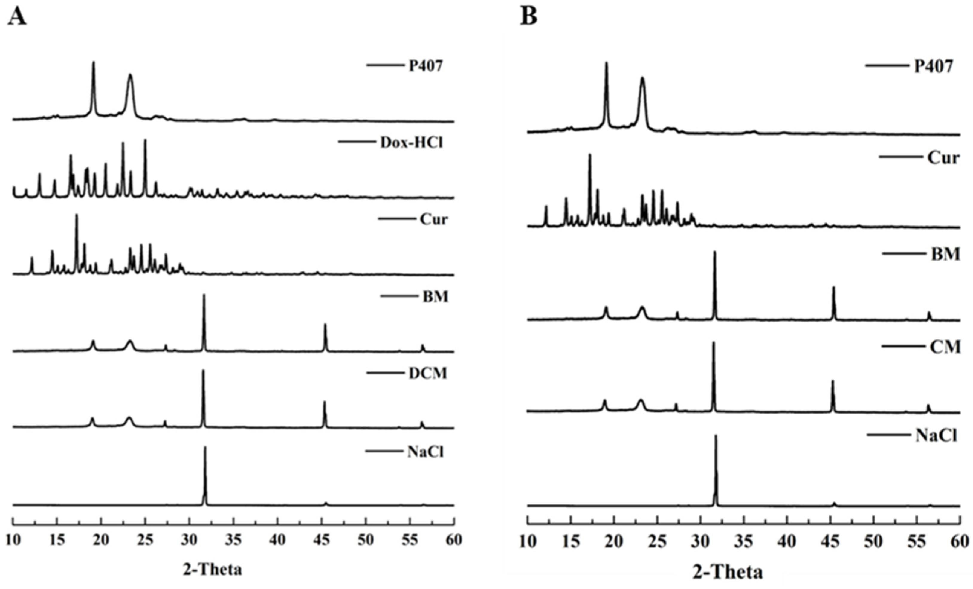 Polymers 16 02498 g003