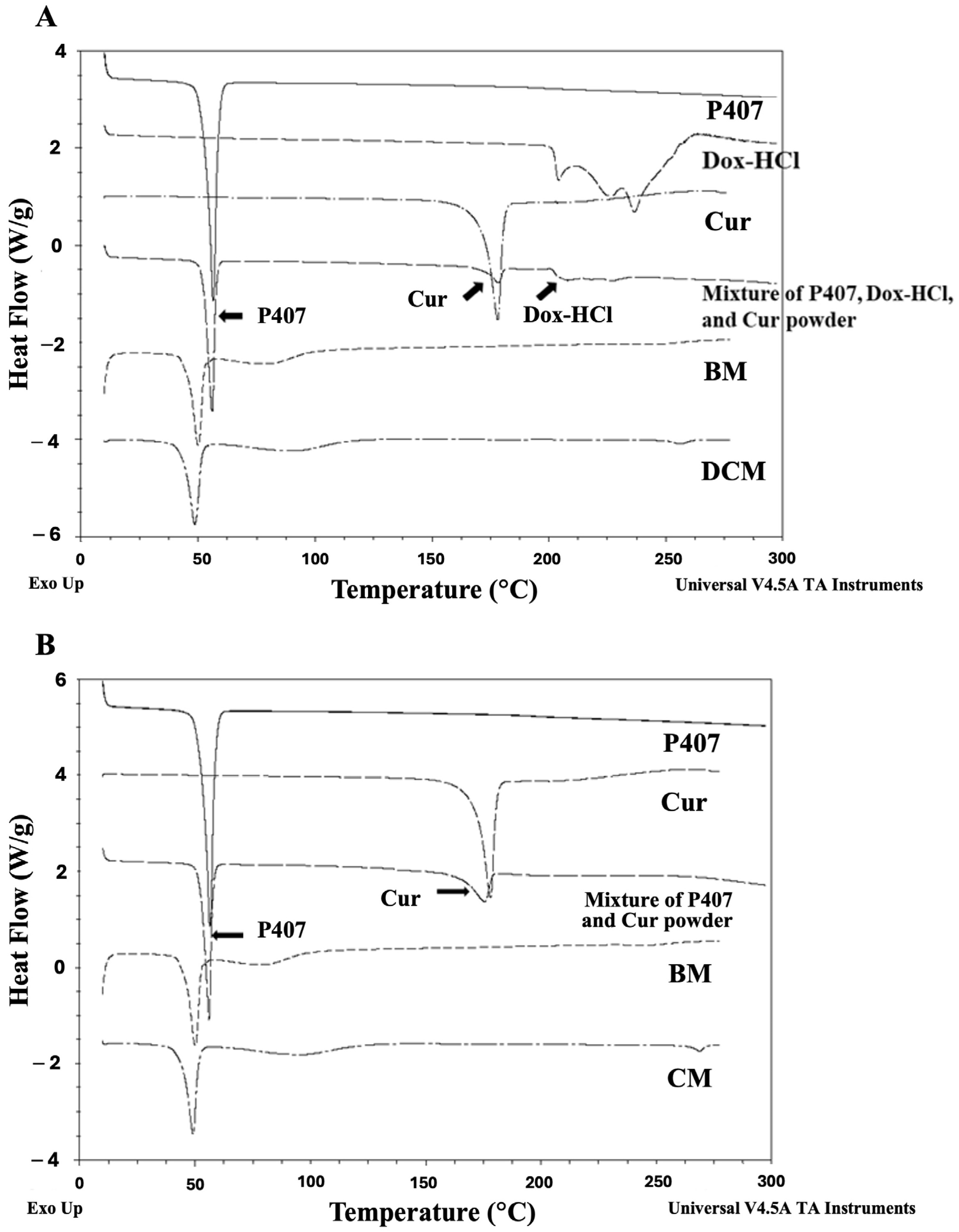 Polymers 16 02498 g004