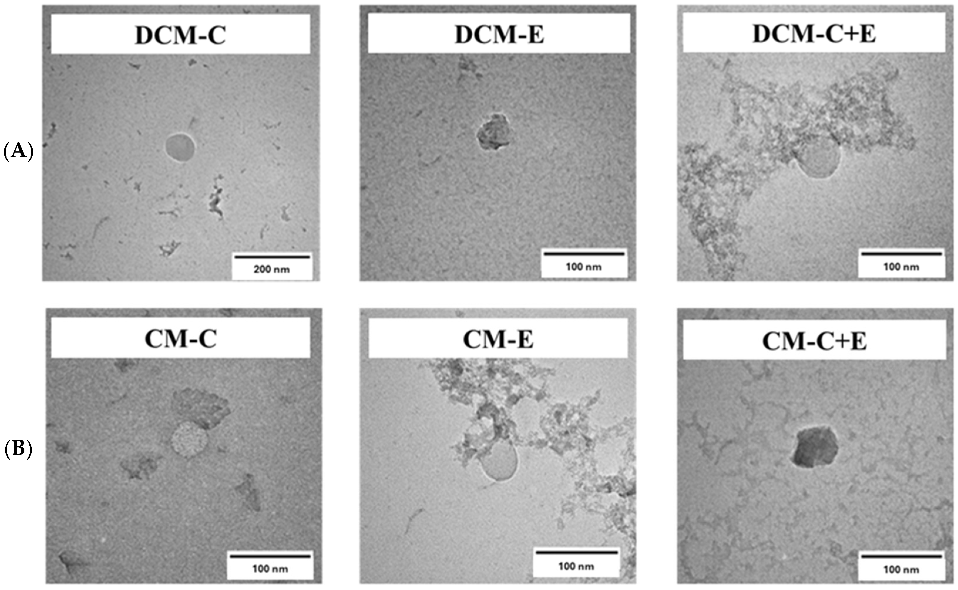 Polymers 16 02498 g014