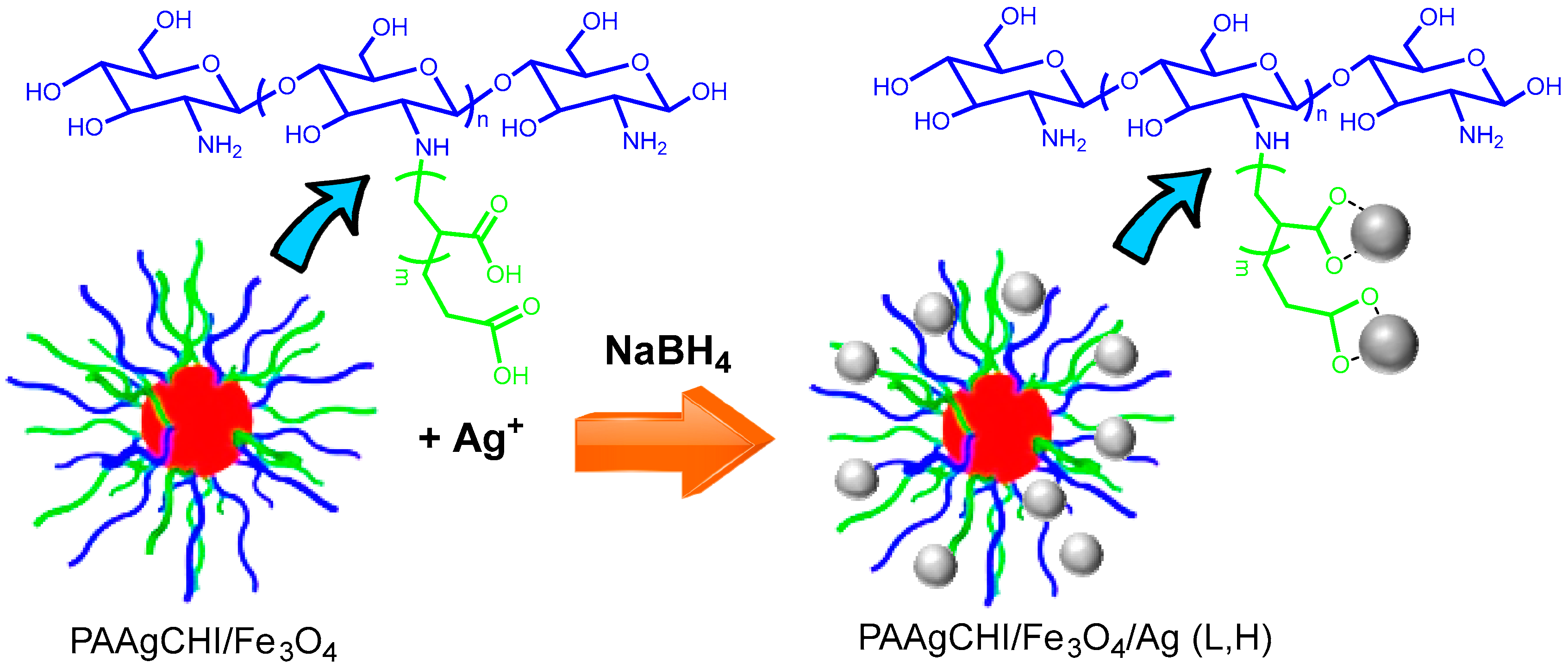 Polymers 16 02500 g001
