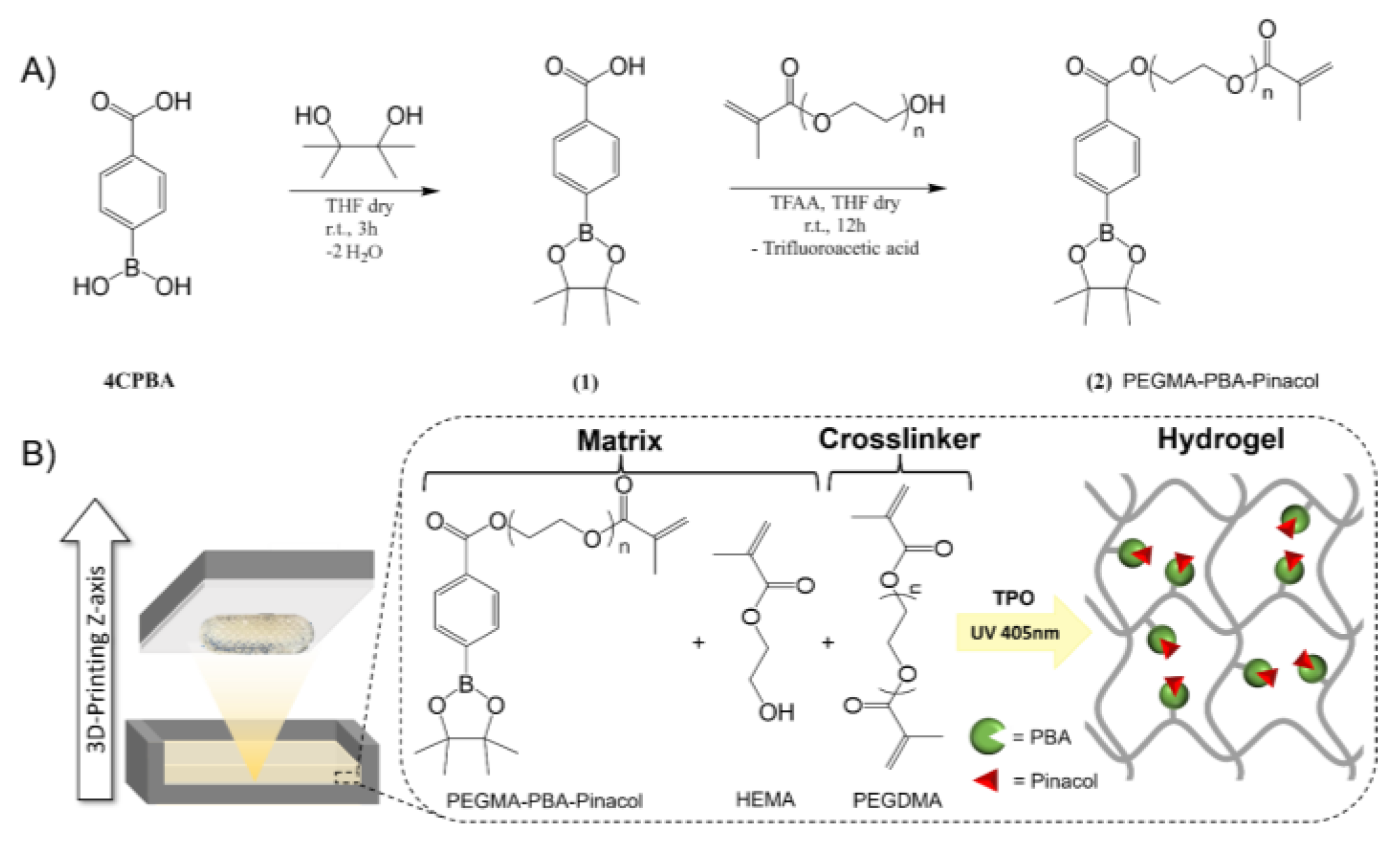 Polymers 16 02502 g001