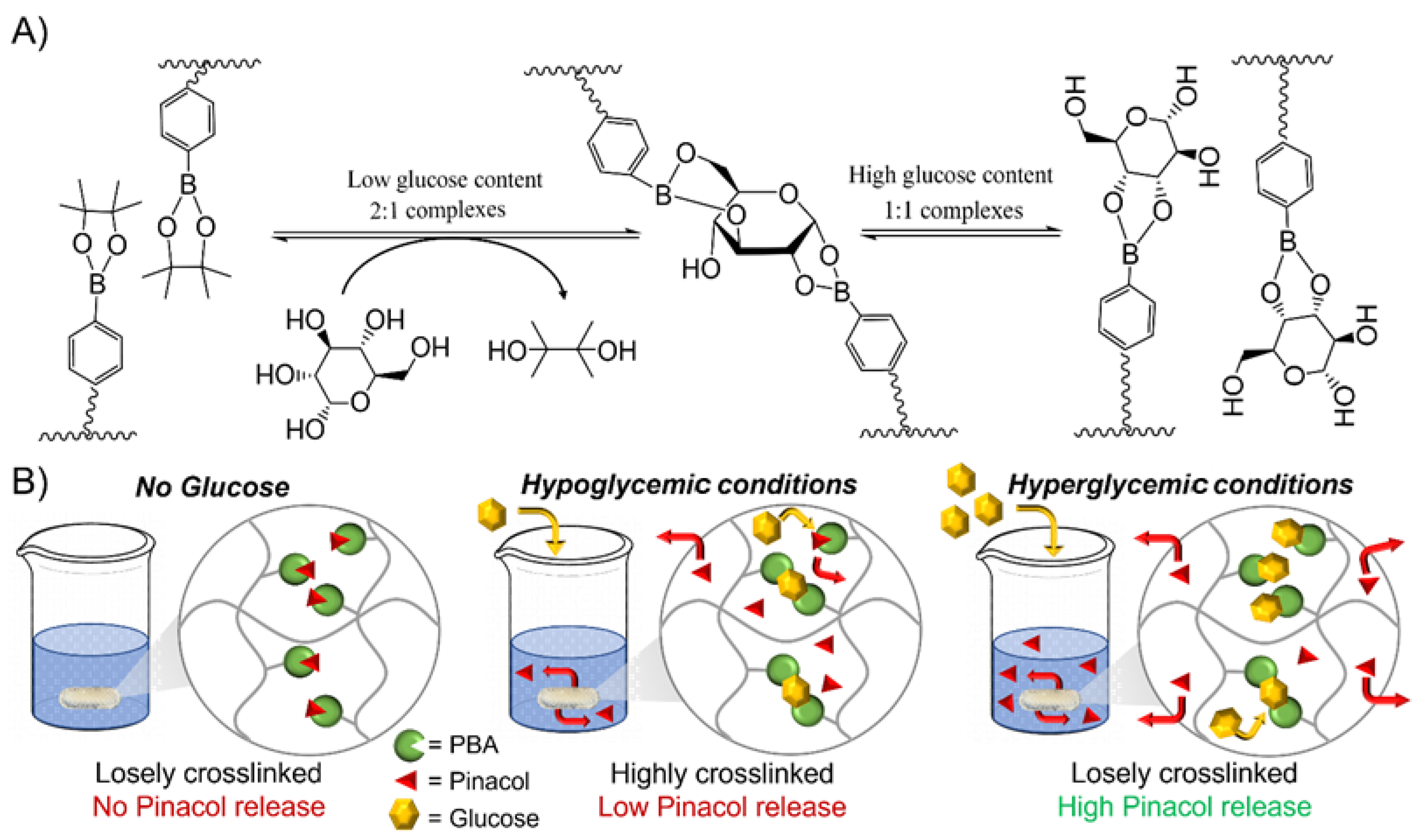 Polymers 16 02502 g002