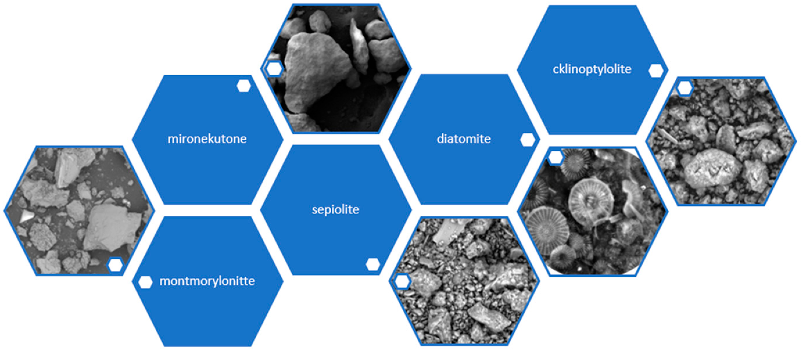Polymers 16 02505 g002