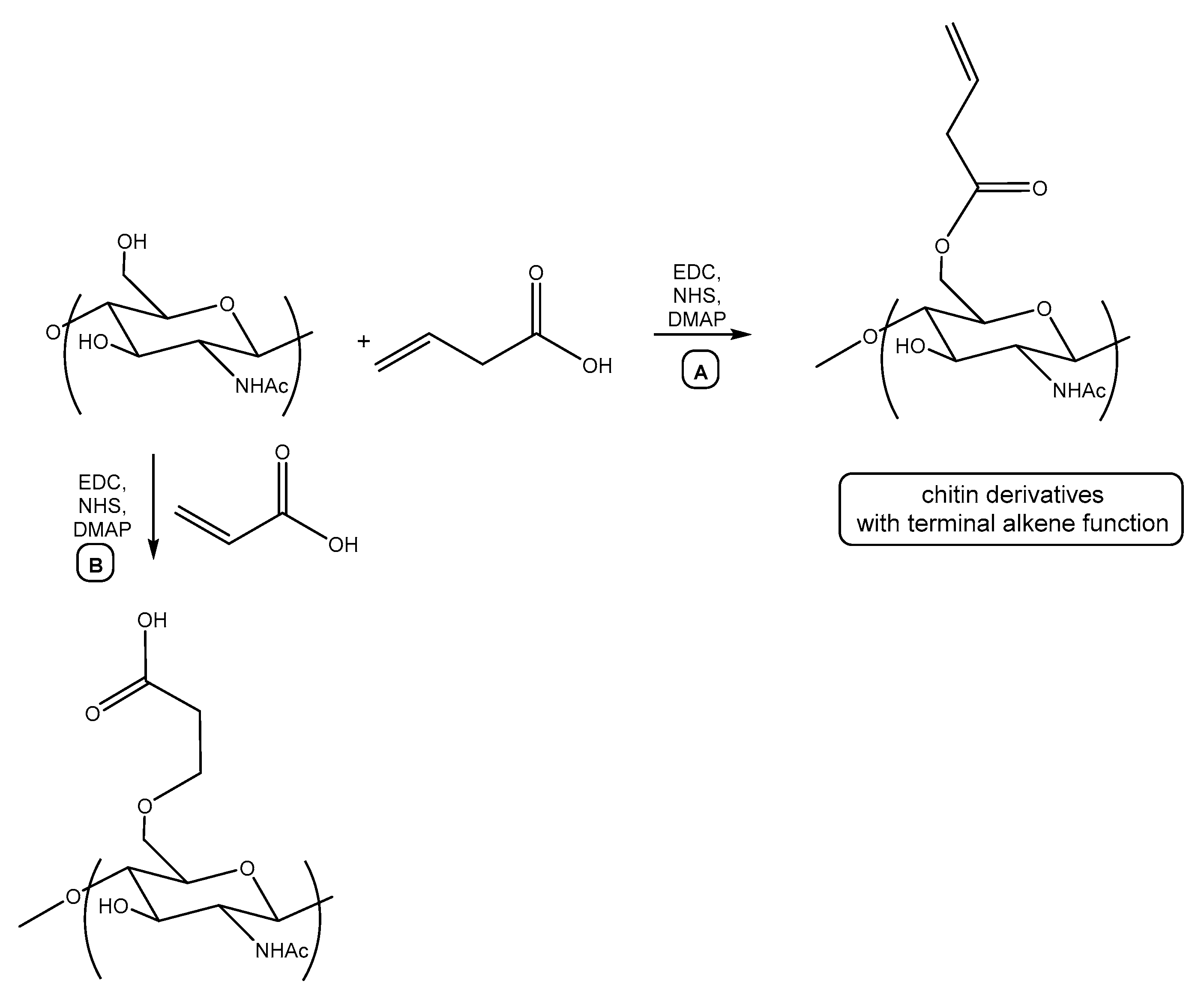 Polymers 16 02509 sch002