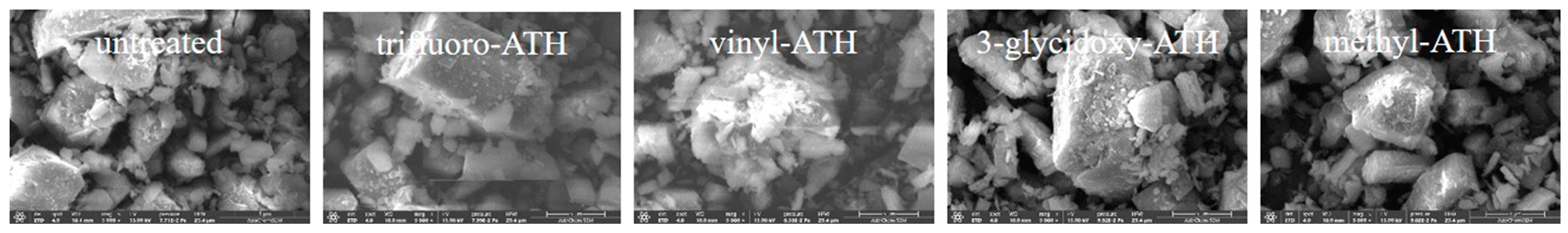 Polymers 16 02510 g001