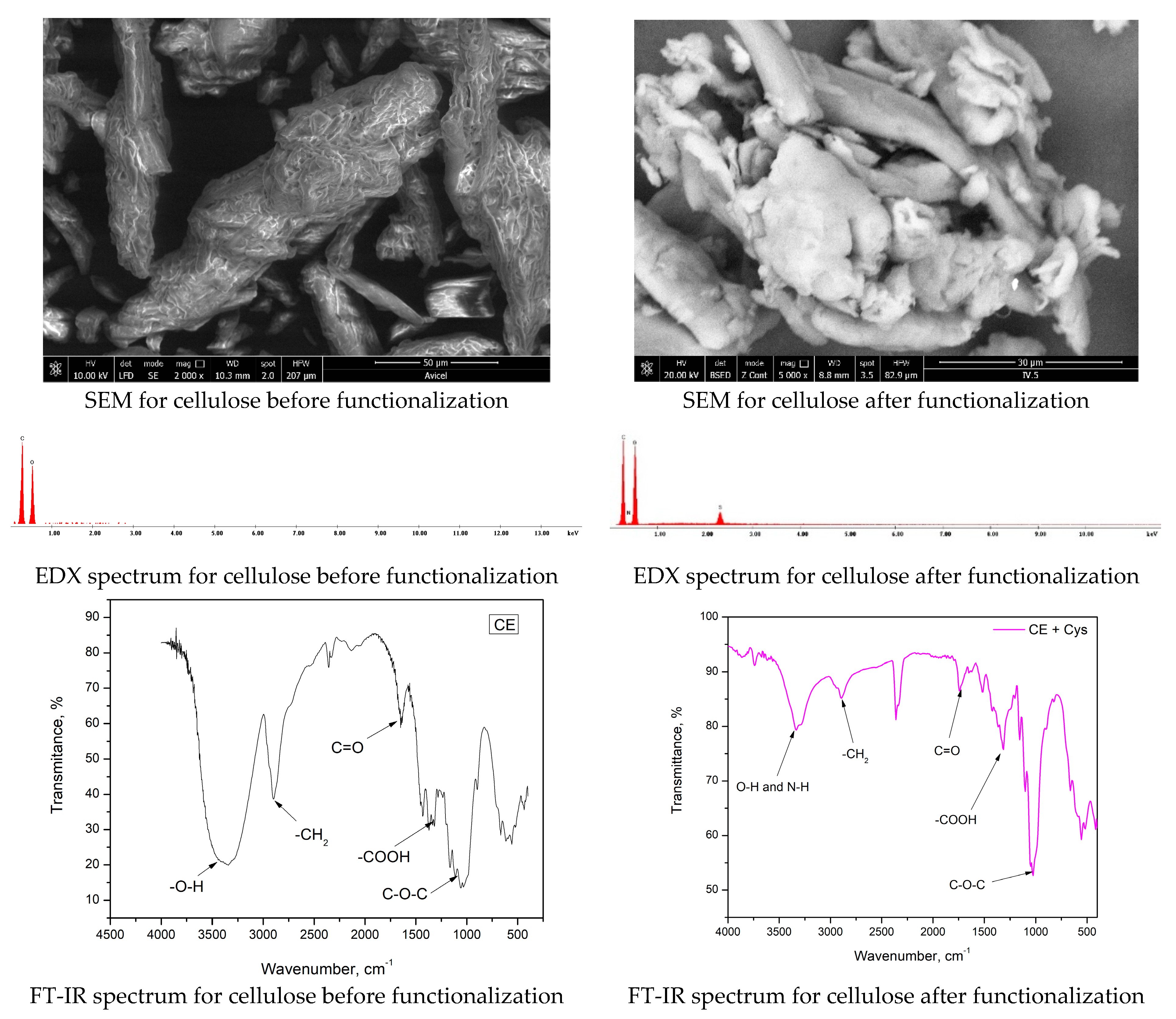 Polymers 16 02512 g003