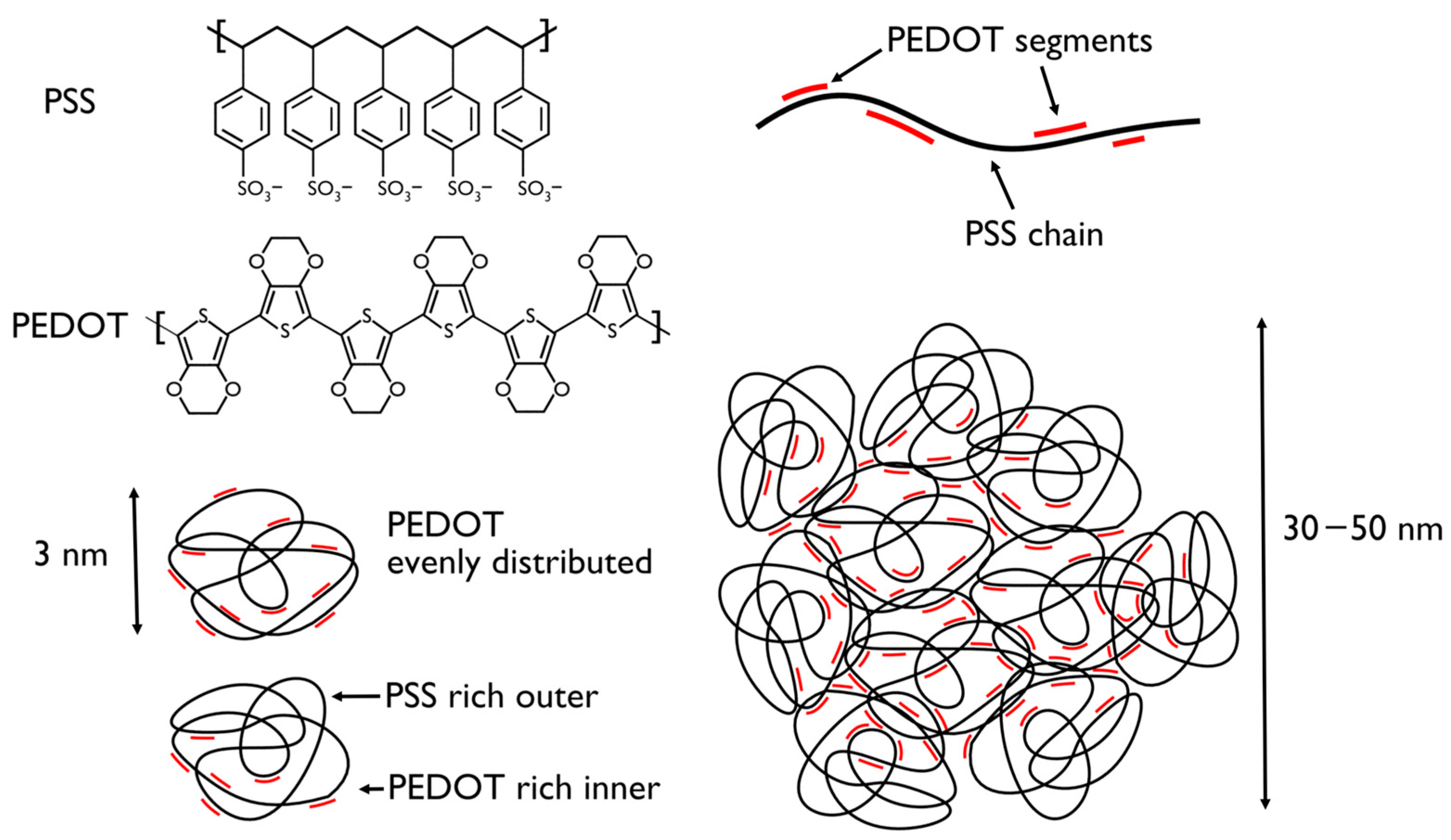 Polymers 16 02514 g001