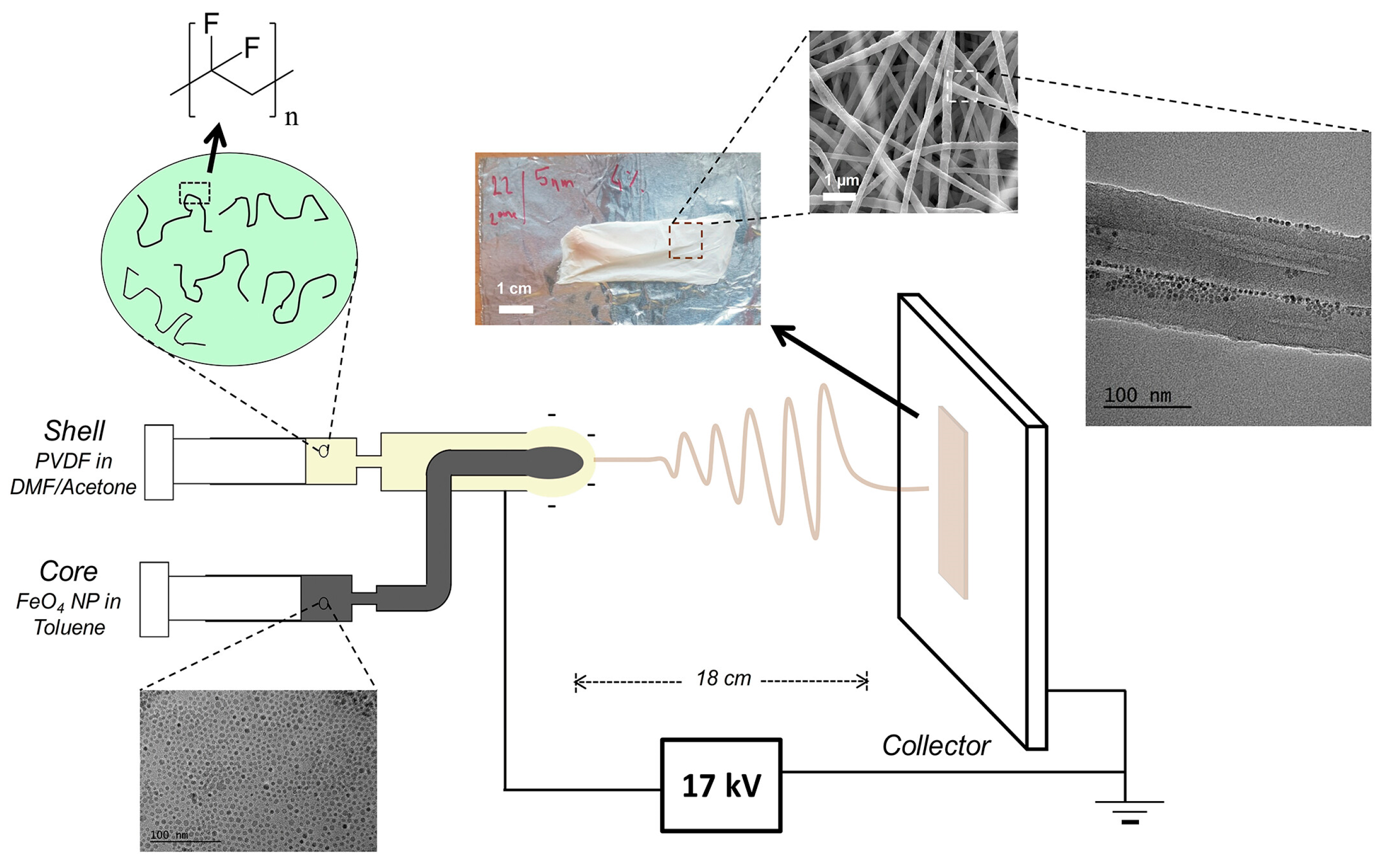 Polymers 16 02514 g003