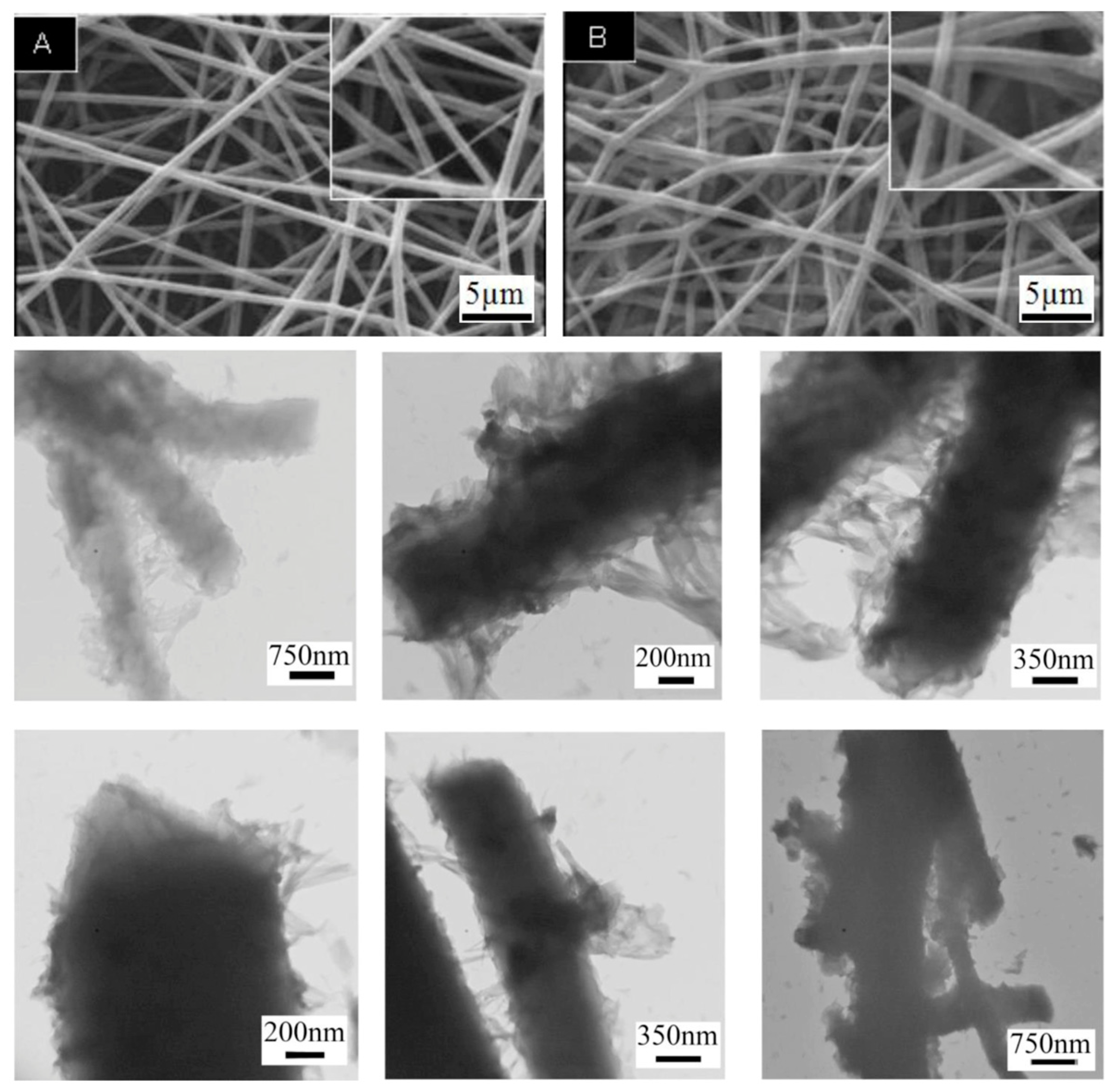 Polymers 16 02514 g004