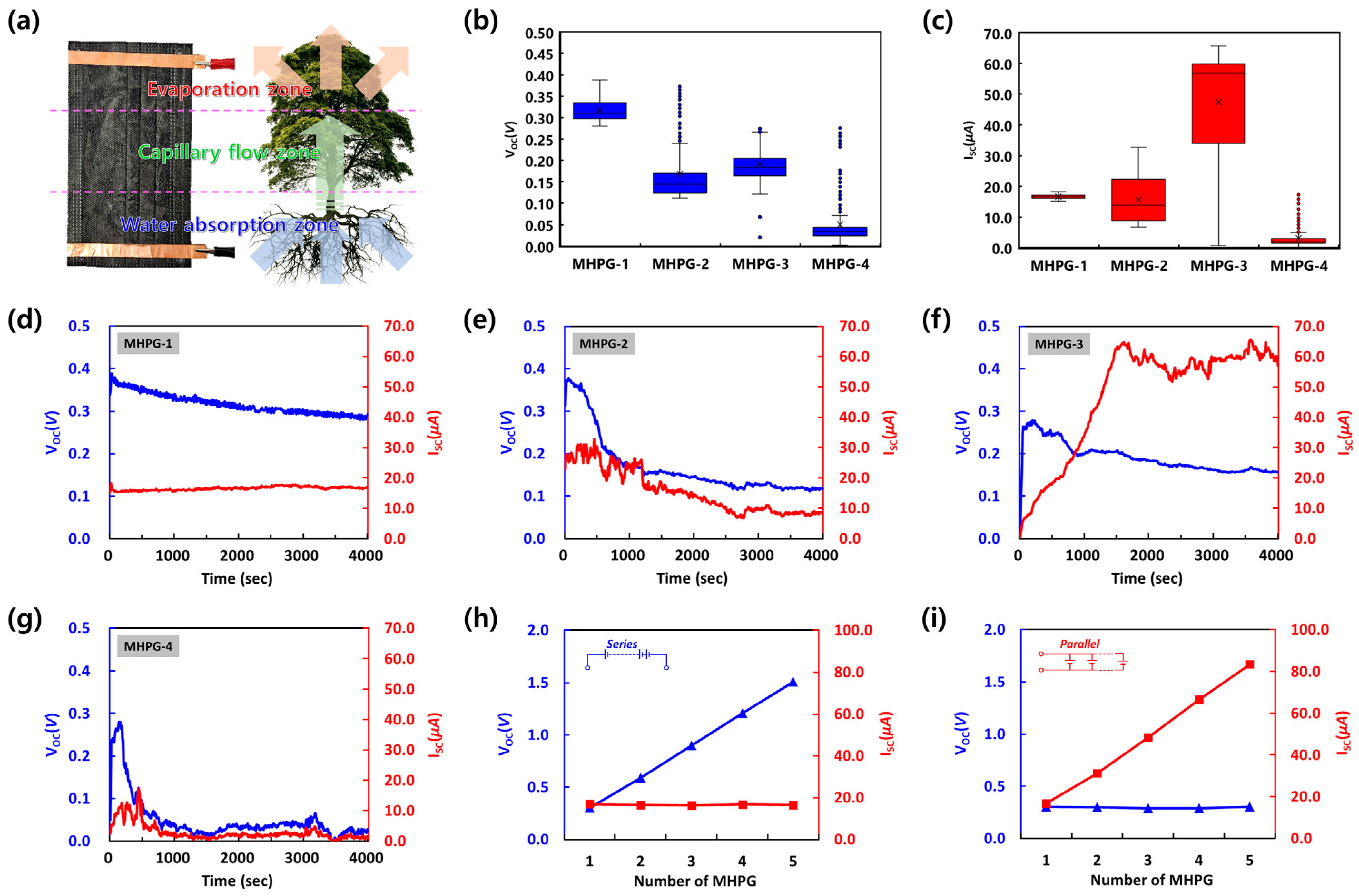 Polymers 16 02515 g003