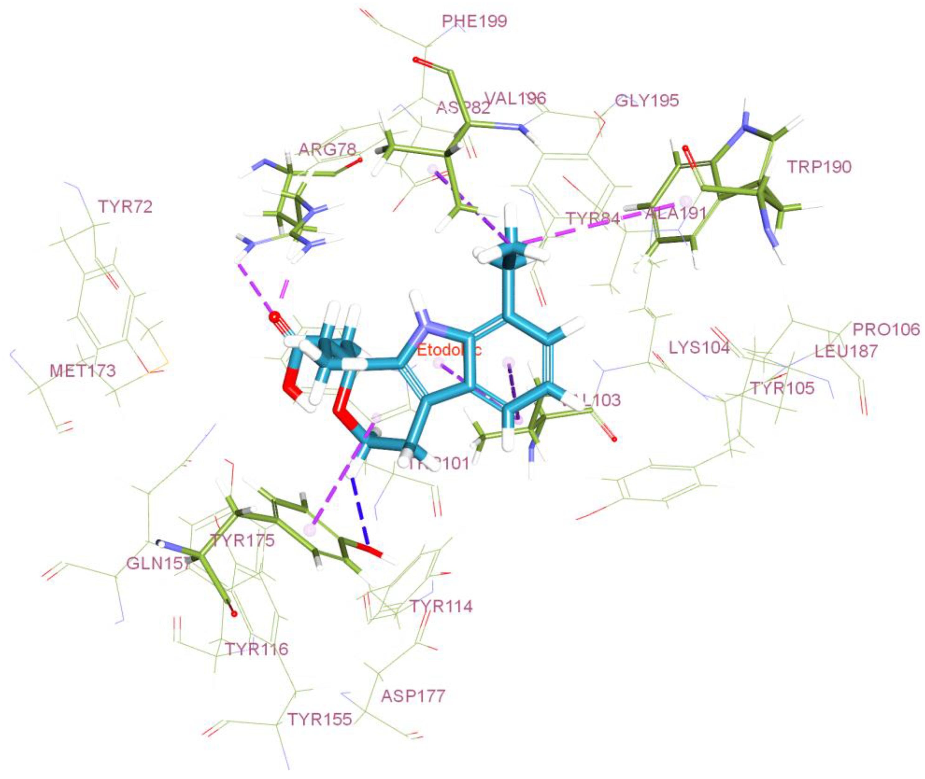 Polymers 16 02517 g001 Polymers 16 02517 g001