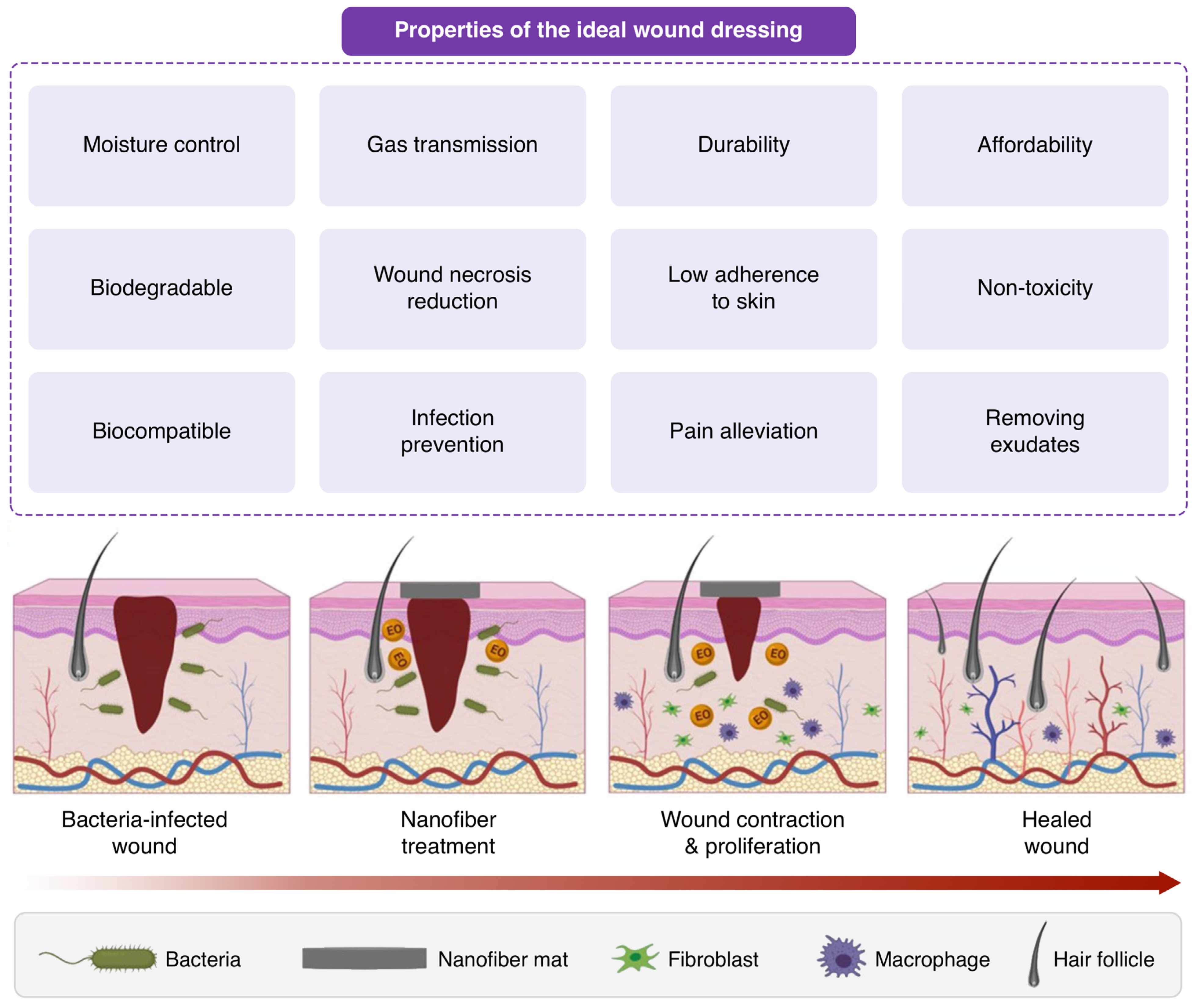 Polymers 16 02526 g002