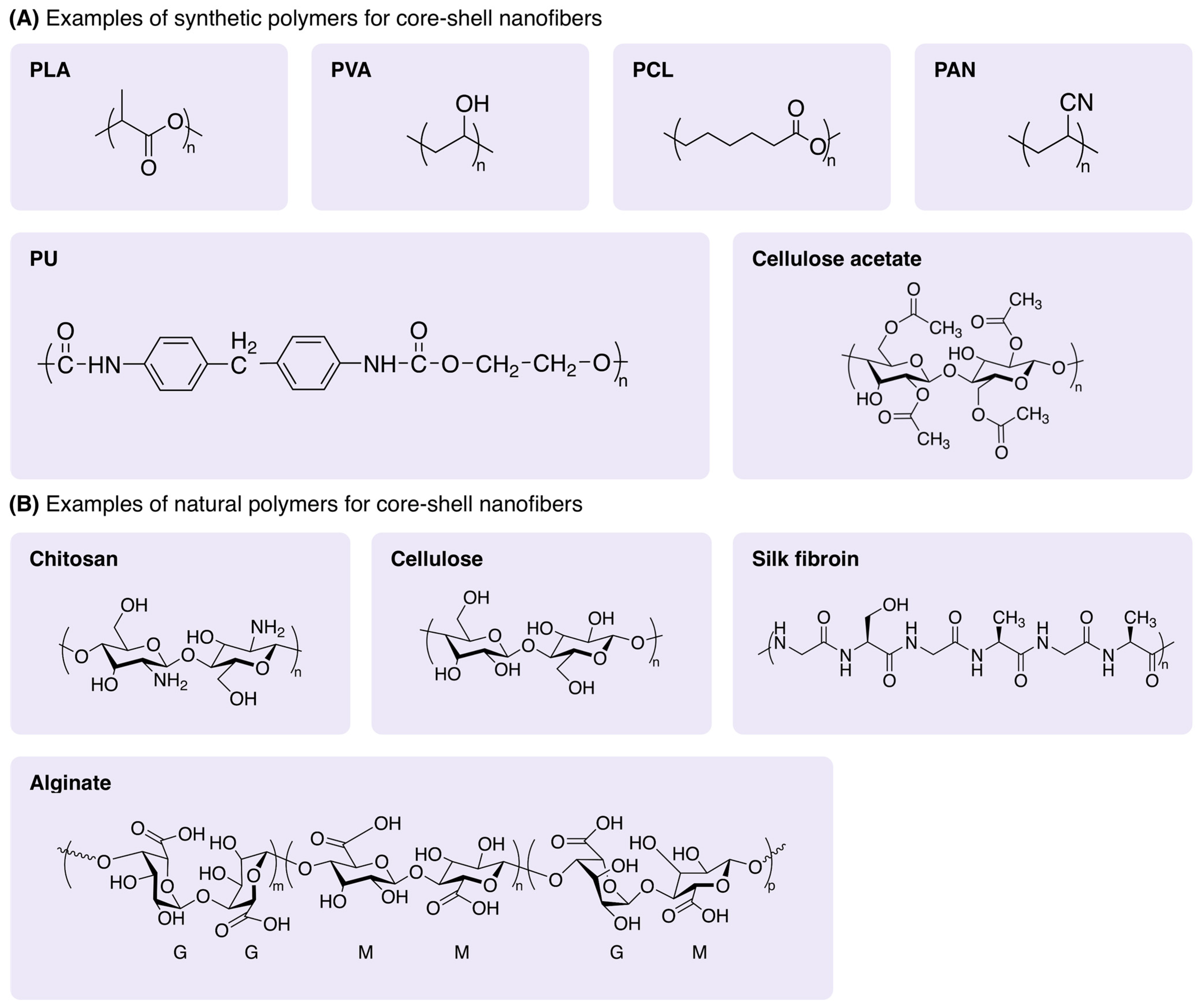 Polymers 16 02526 g004