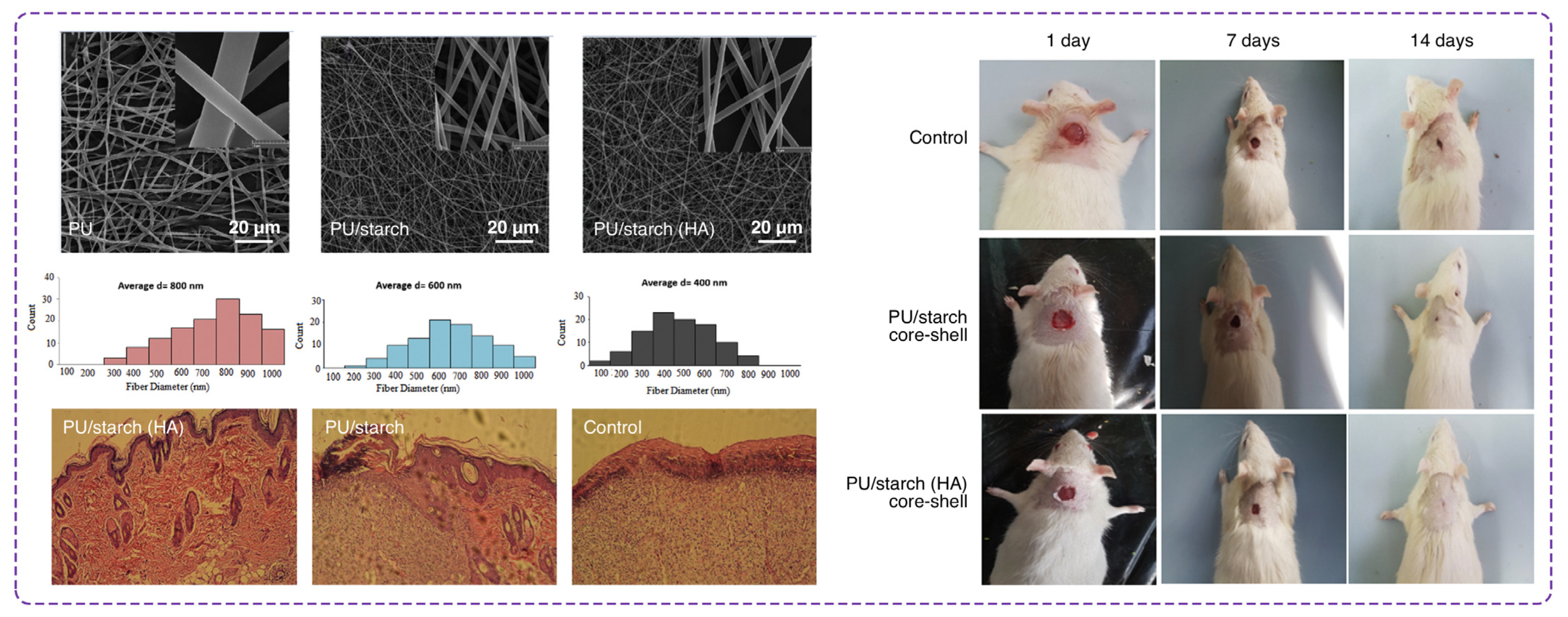 Polymers 16 02526 g008