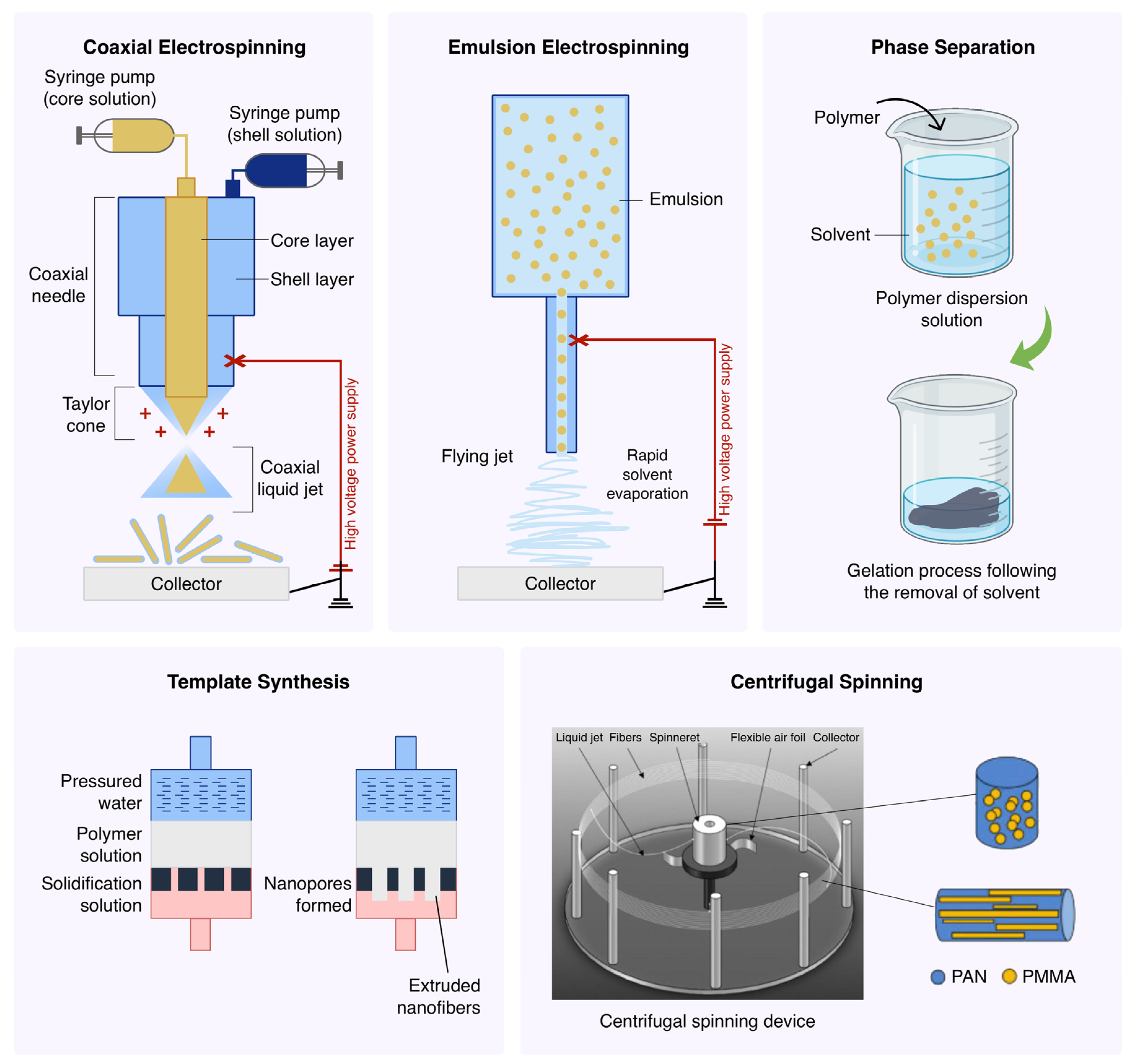 Polymers 16 02526 g012