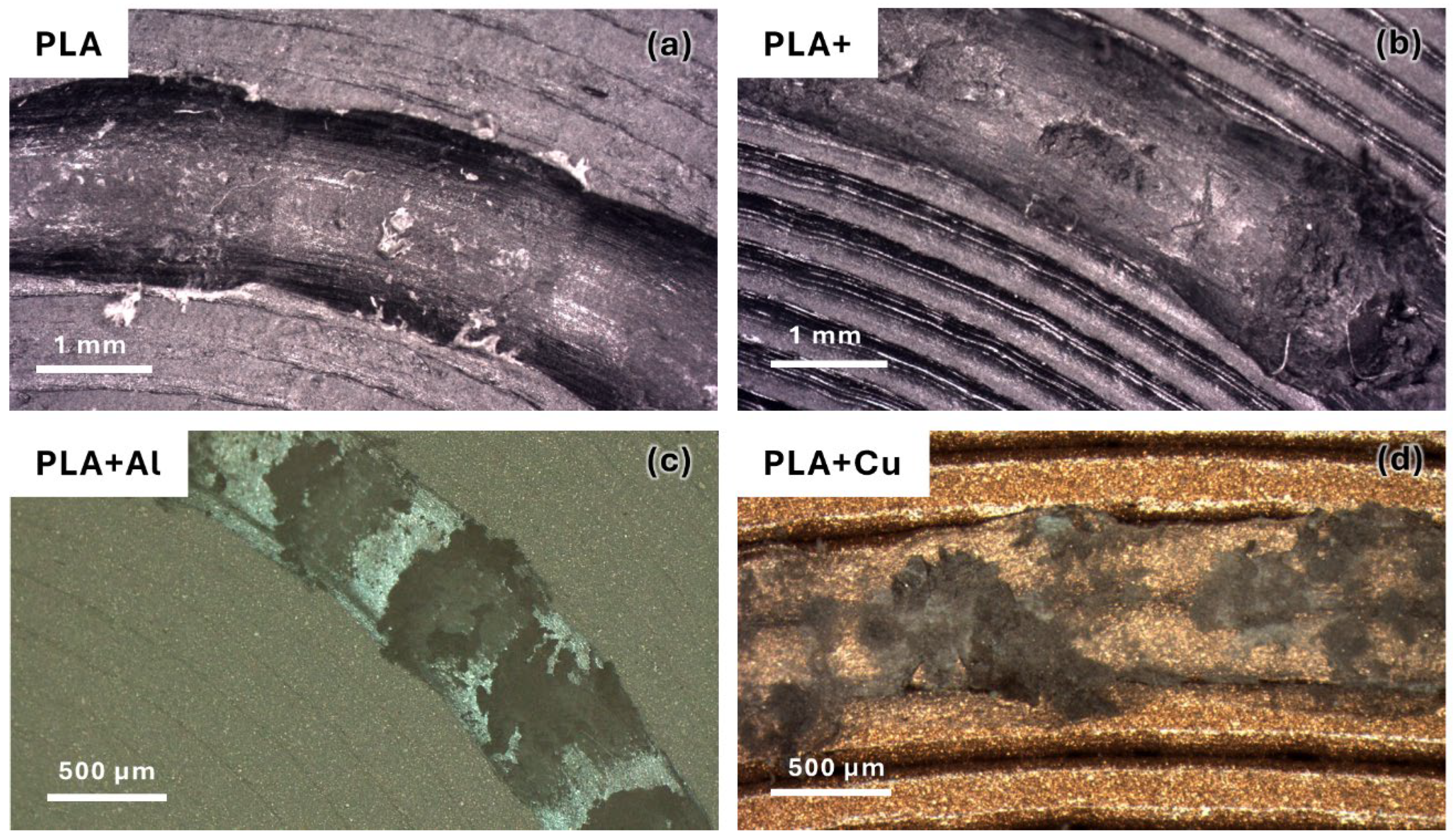 Polymers 16 02529 g010