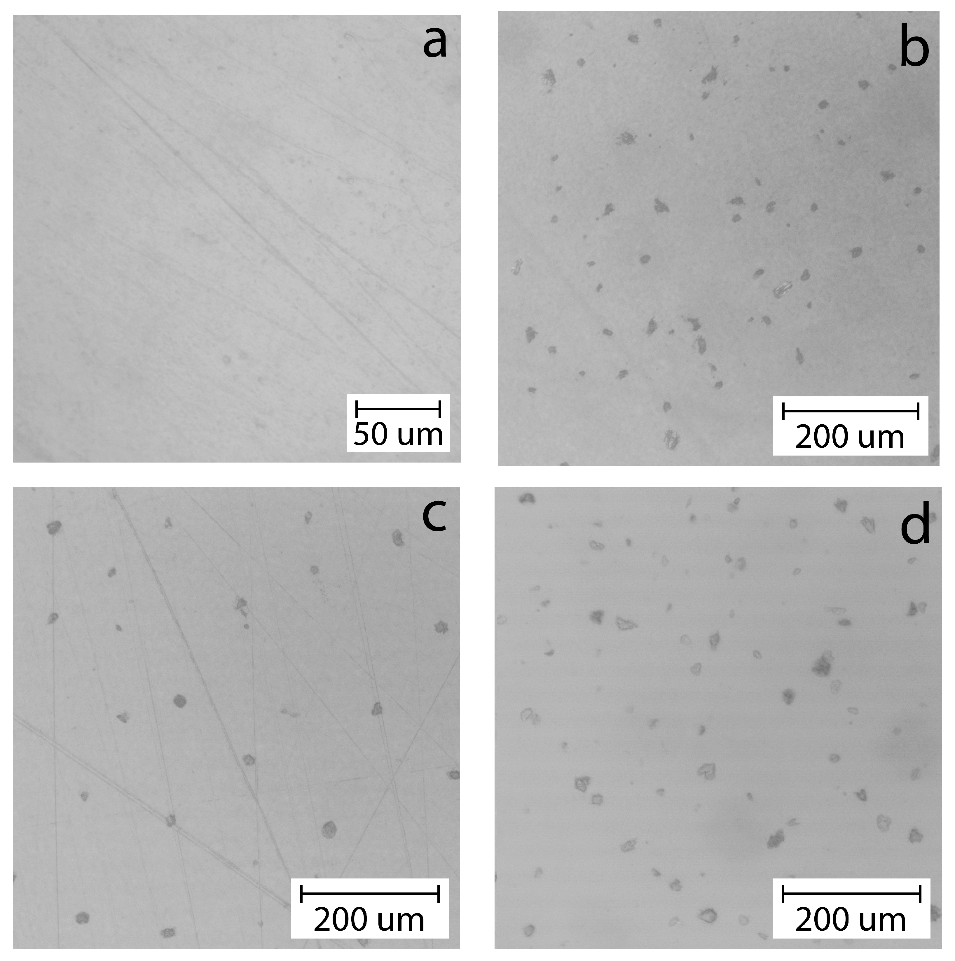 Polymers 16 02531 g008