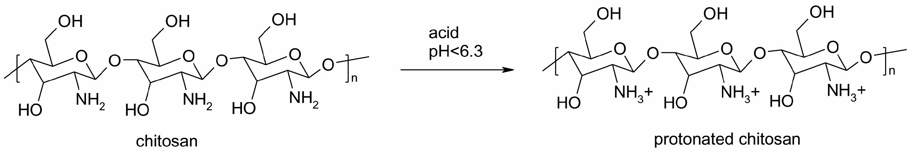 Polymers 16 02532 g001