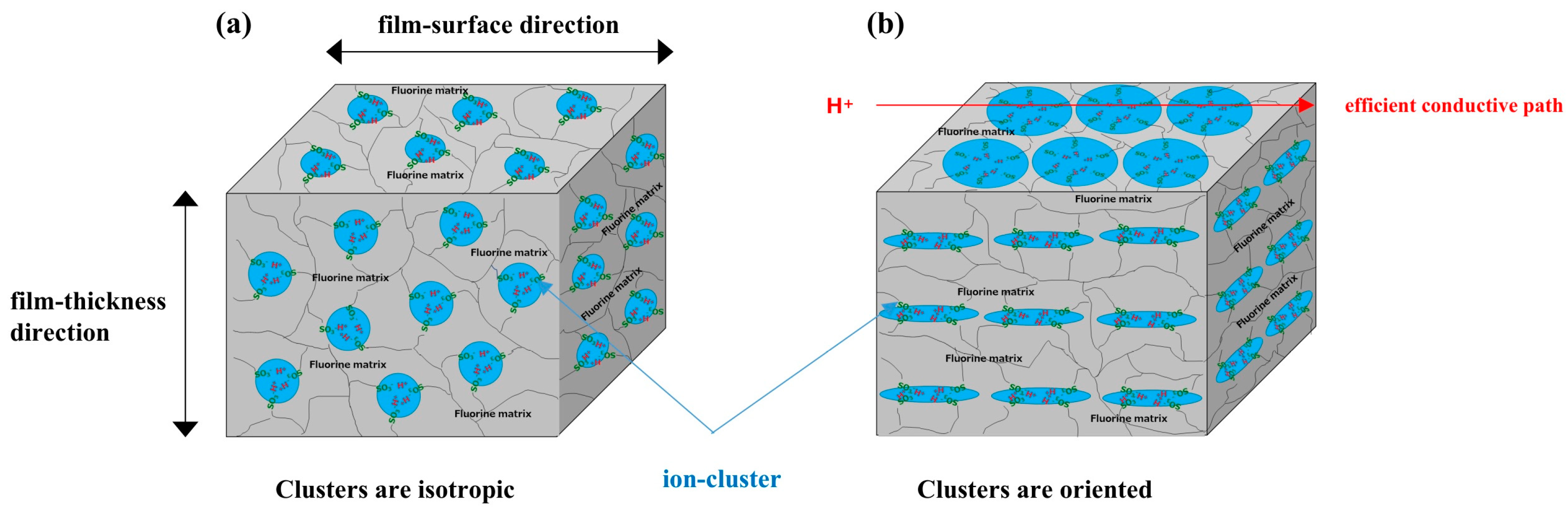 Polymers 16 02533 g008