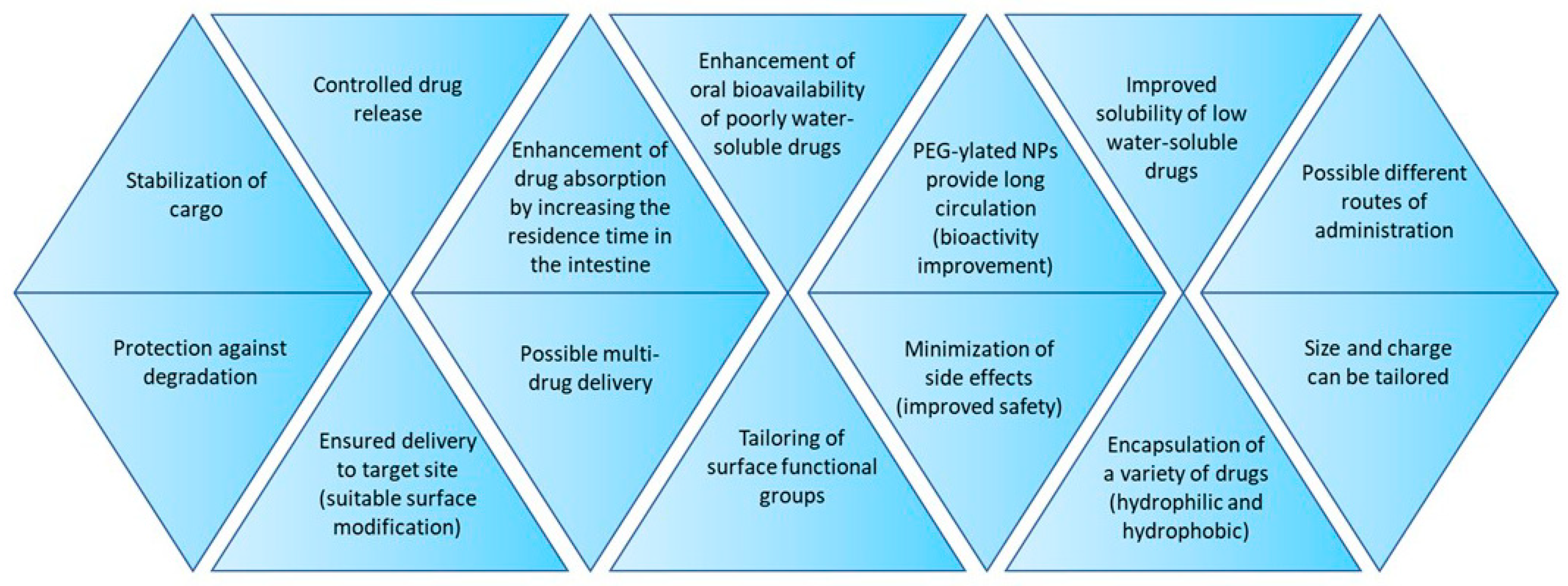 Polymers 16 02536 g001