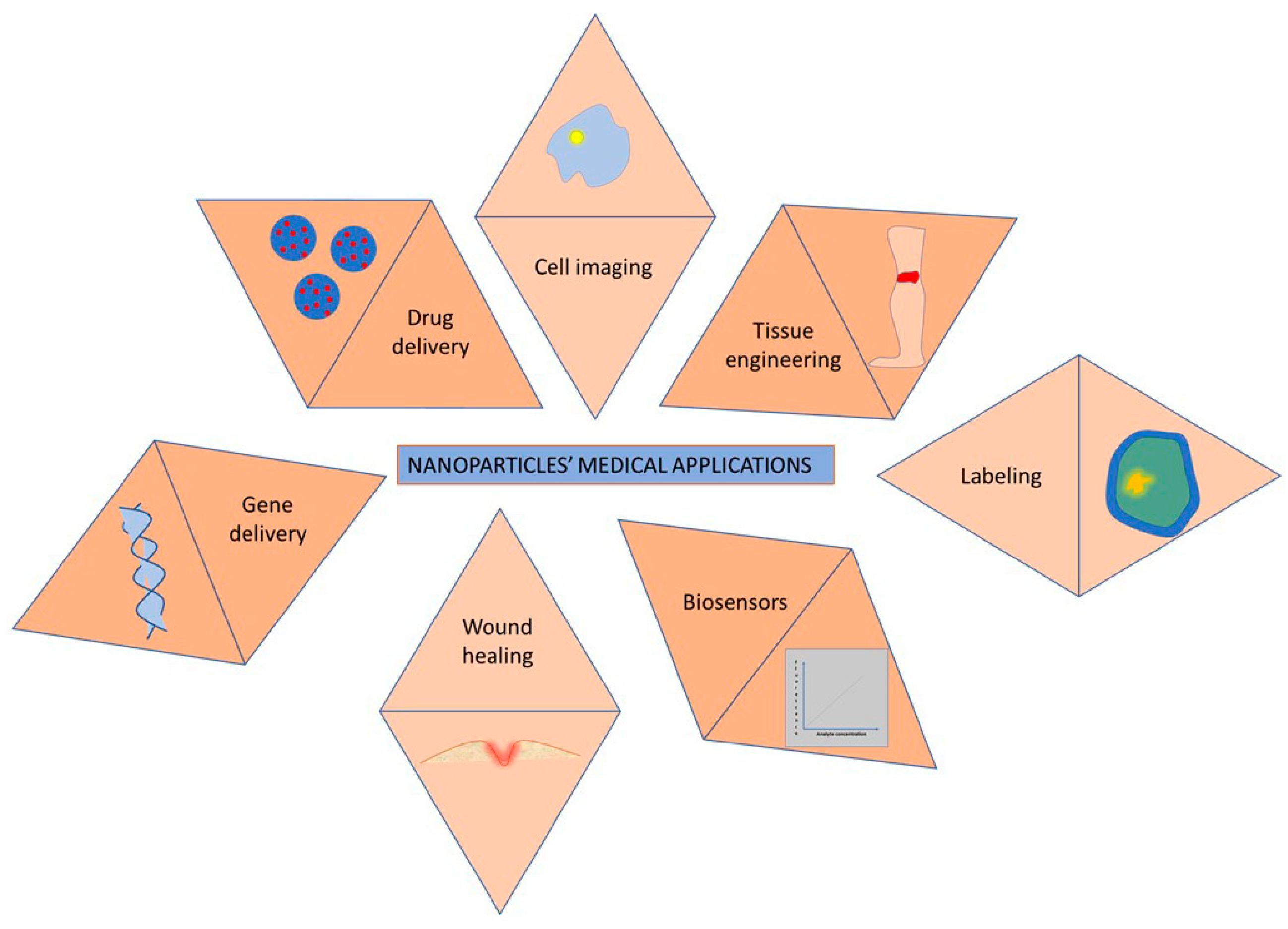 Polymers 16 02536 g003