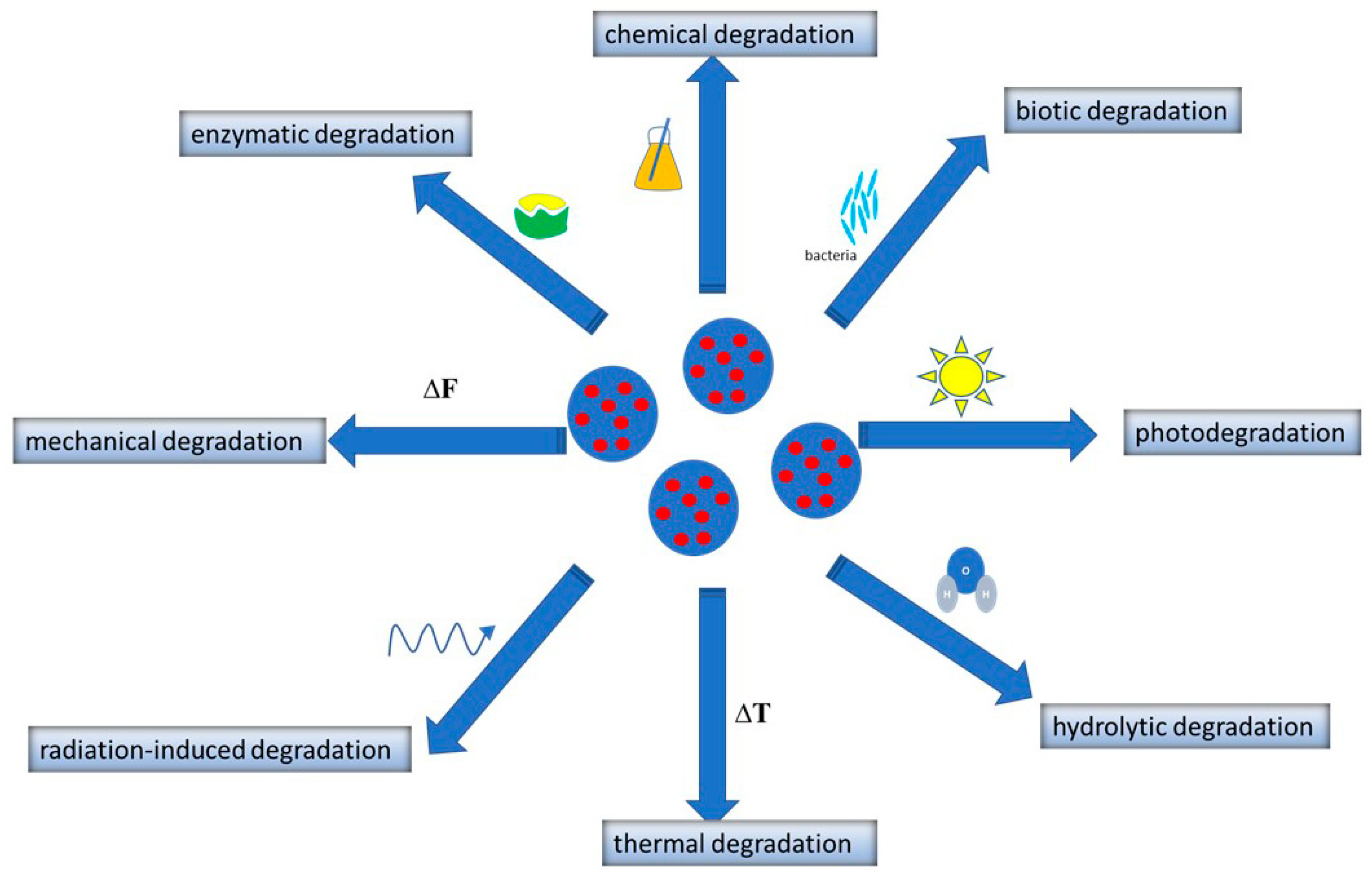 Polymers 16 02536 g005