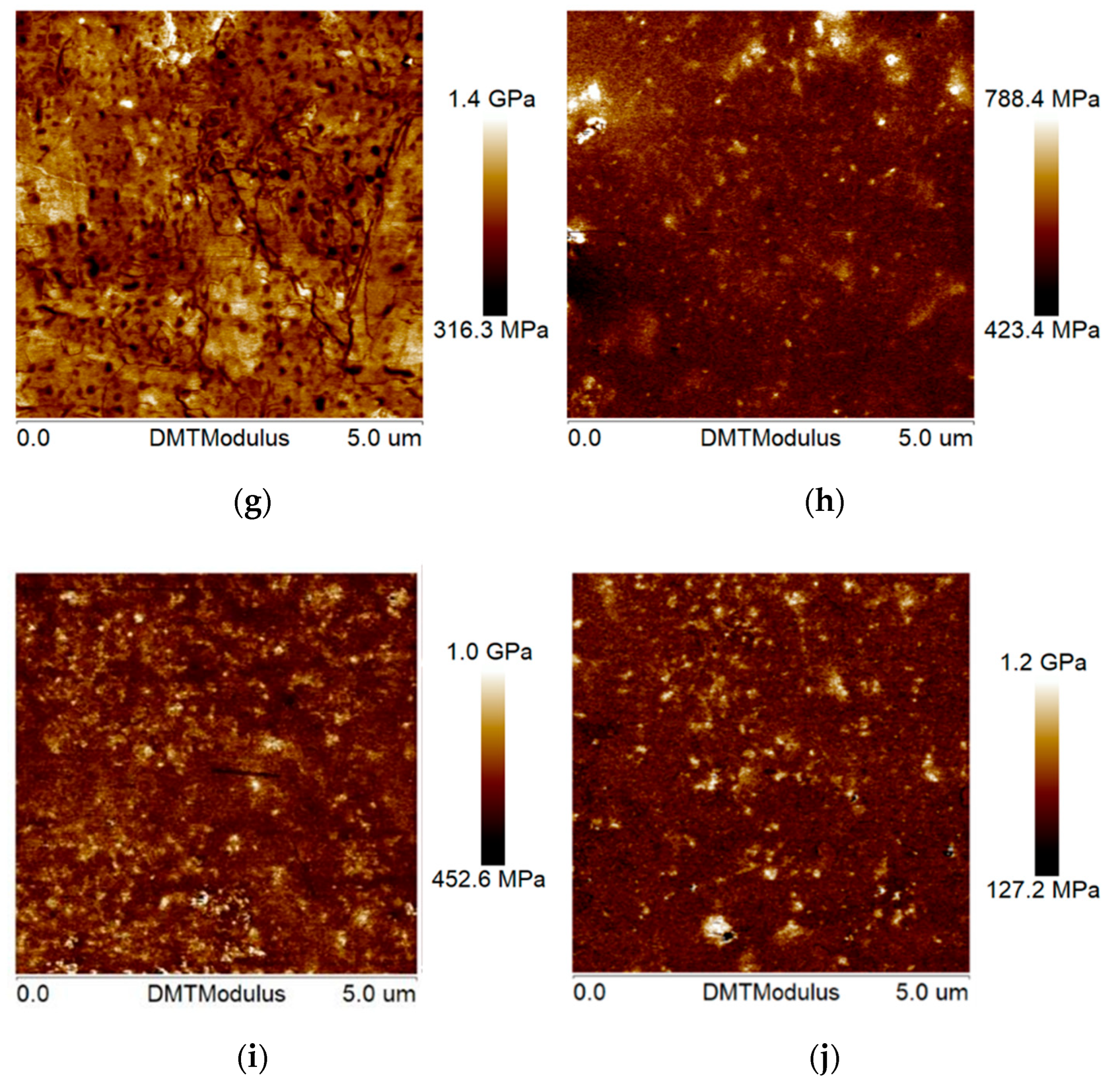 Polymers 16 02537 g004b