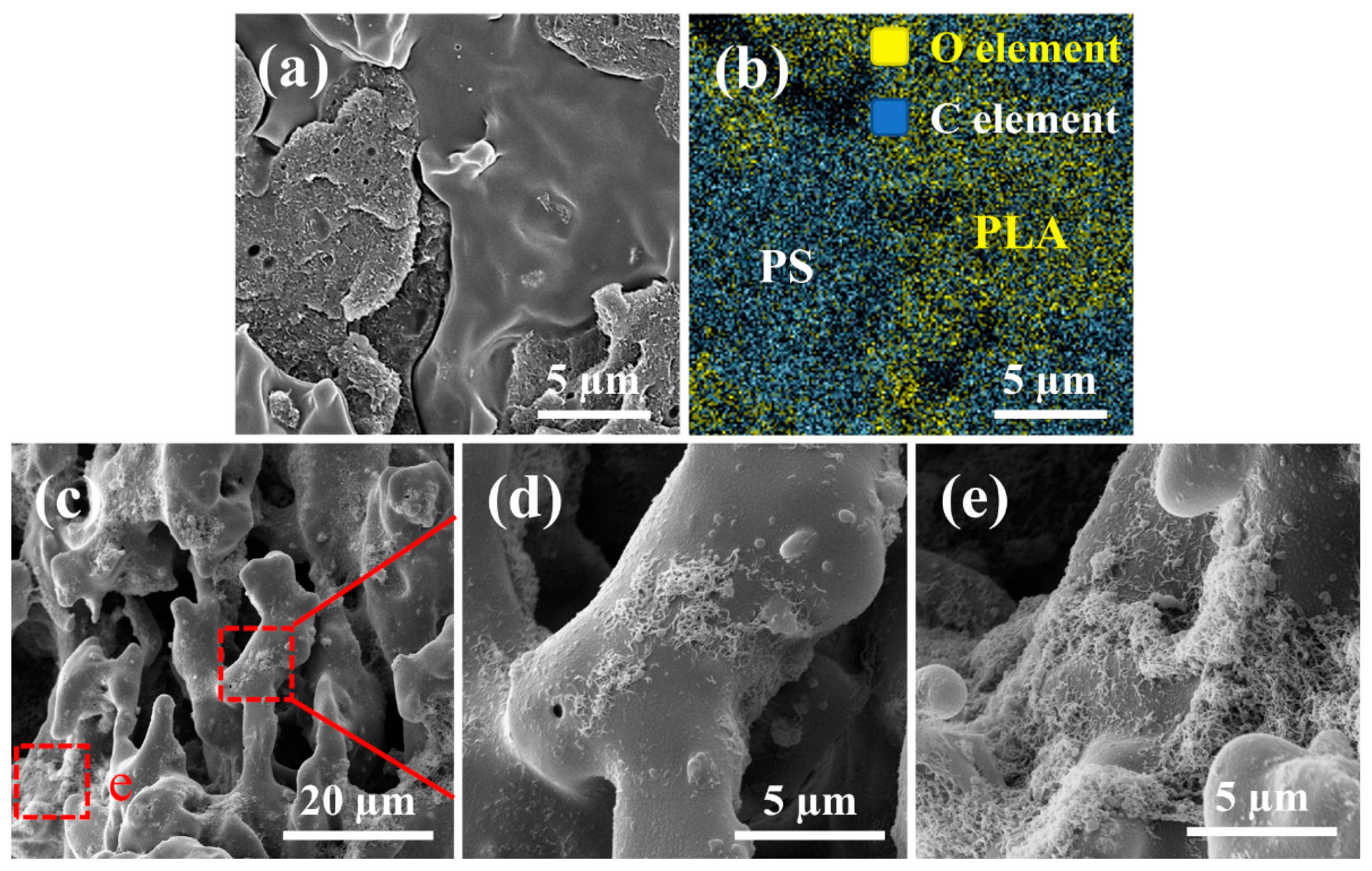 Polymers 16 02539 g003