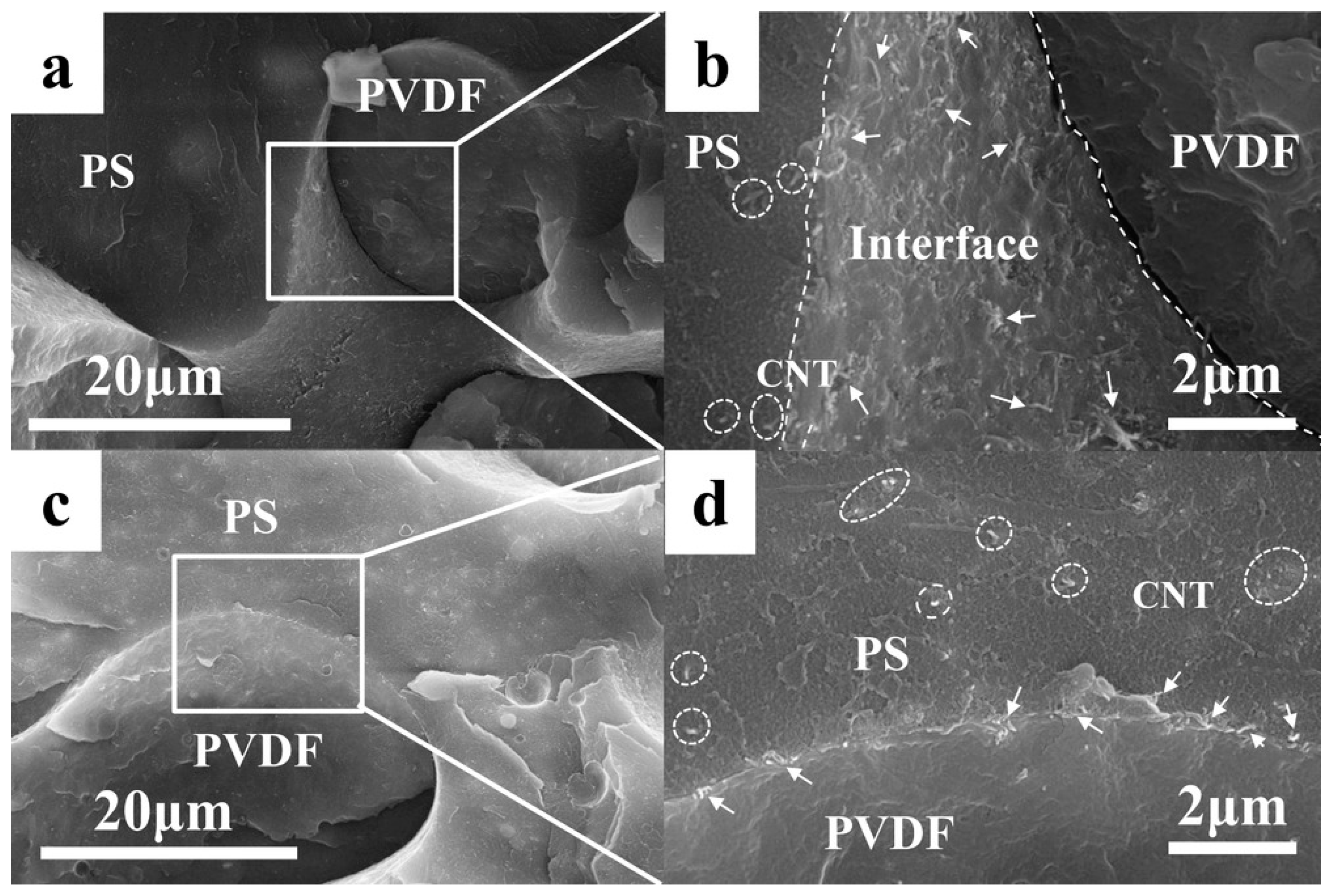 Polymers 16 02539 g004