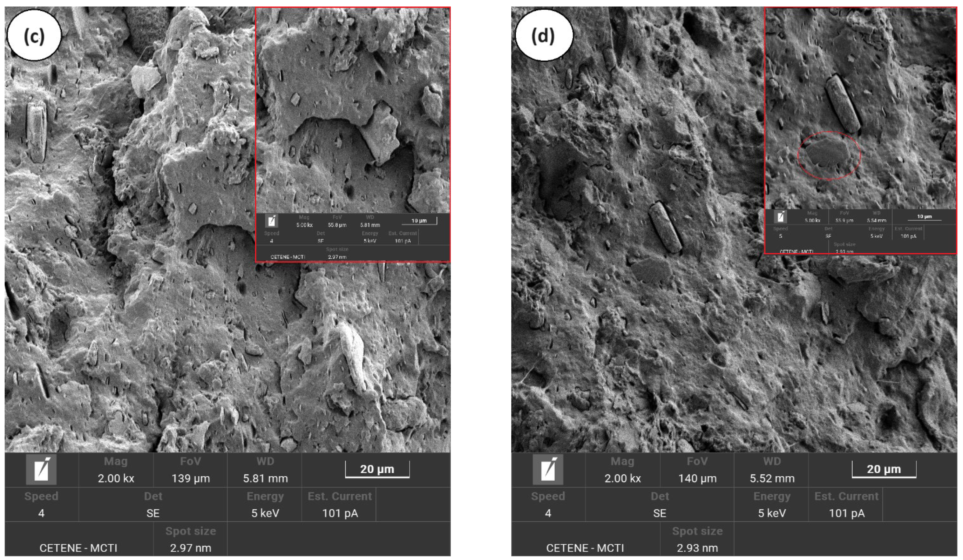 Polymers 16 02542 g006b Polymers 16 02542 g006b