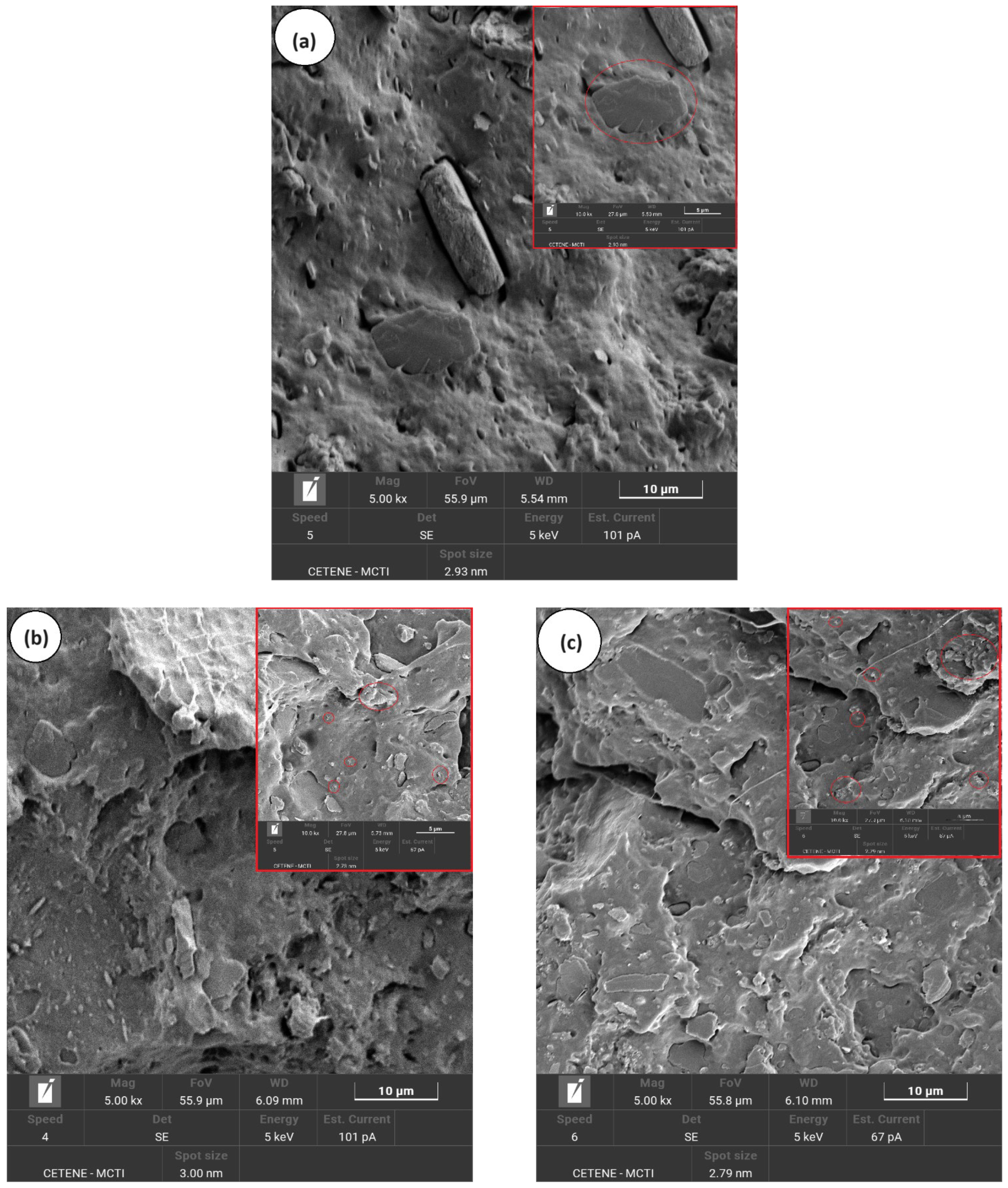 Polymers 16 02542 g007a Polymers 16 02542 g007a