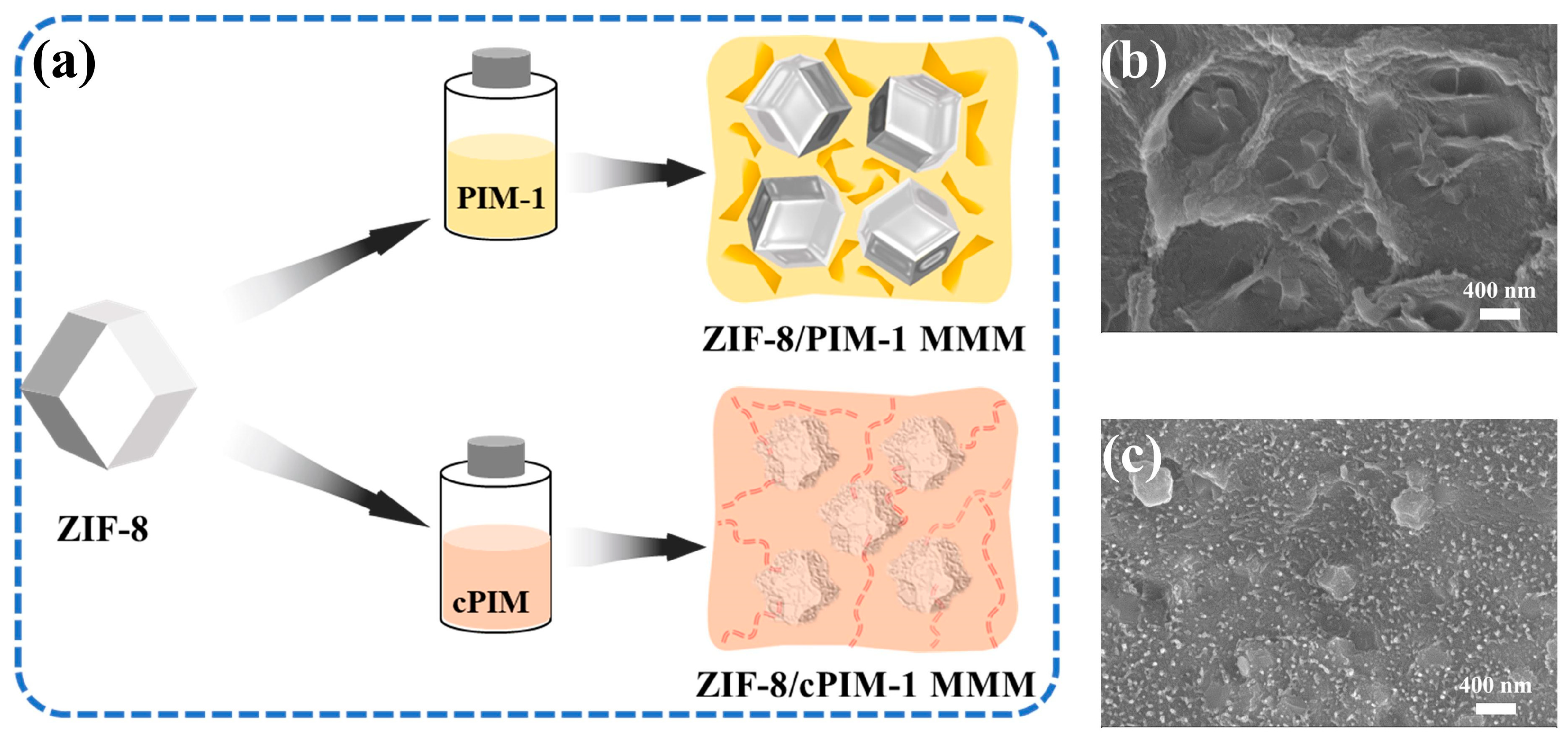 Polymers 16 02545 g001
