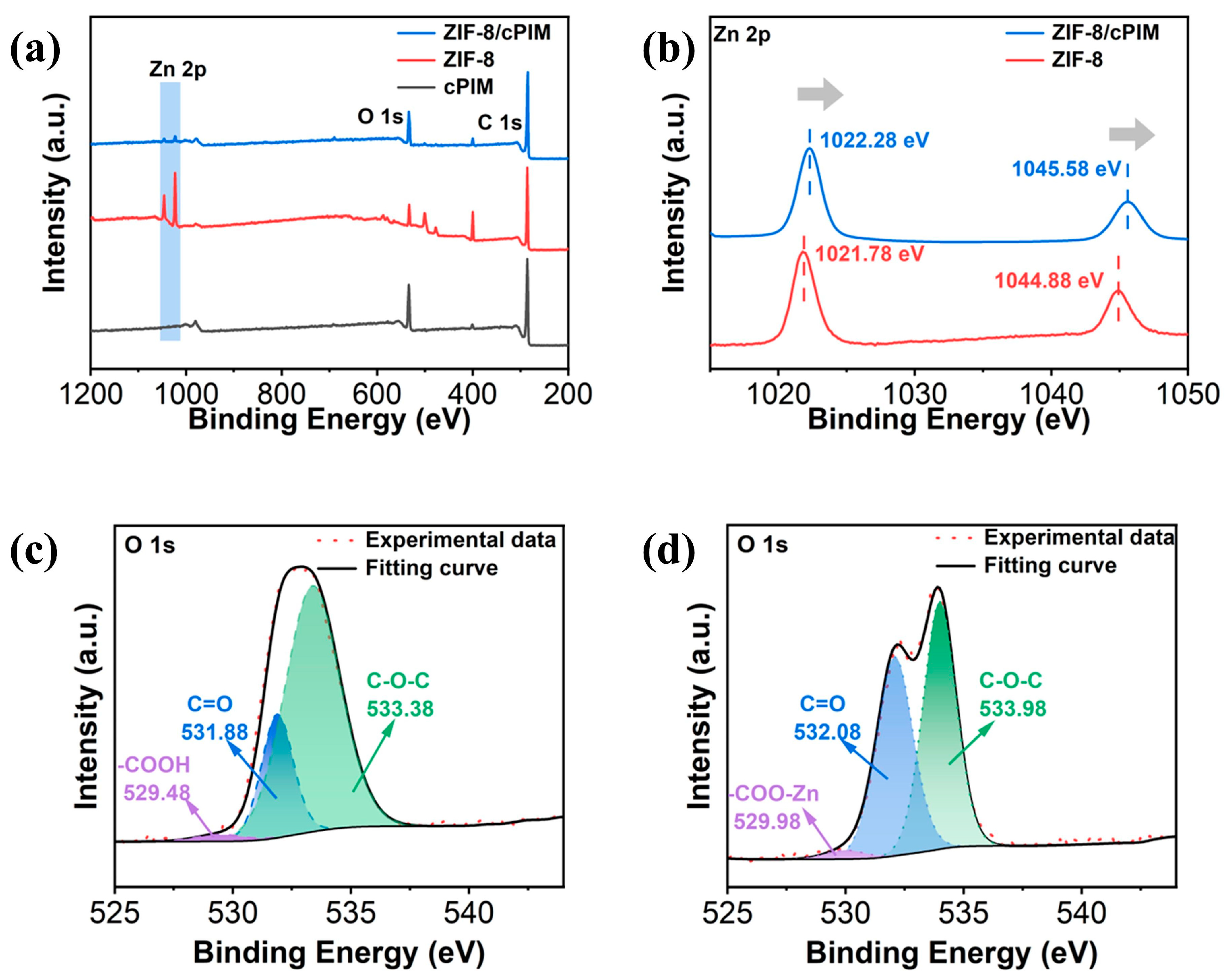 Polymers 16 02545 g003