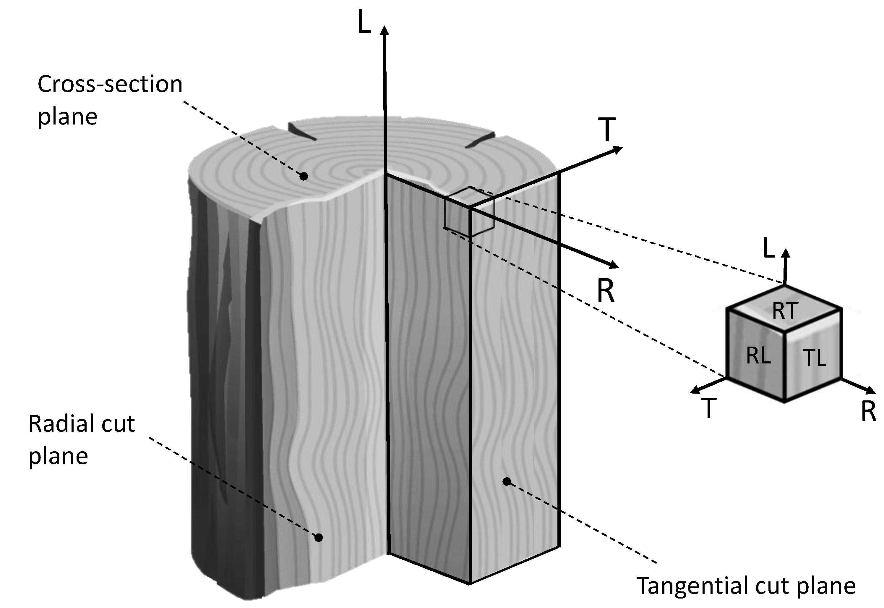 Polymers 16 02546 g001