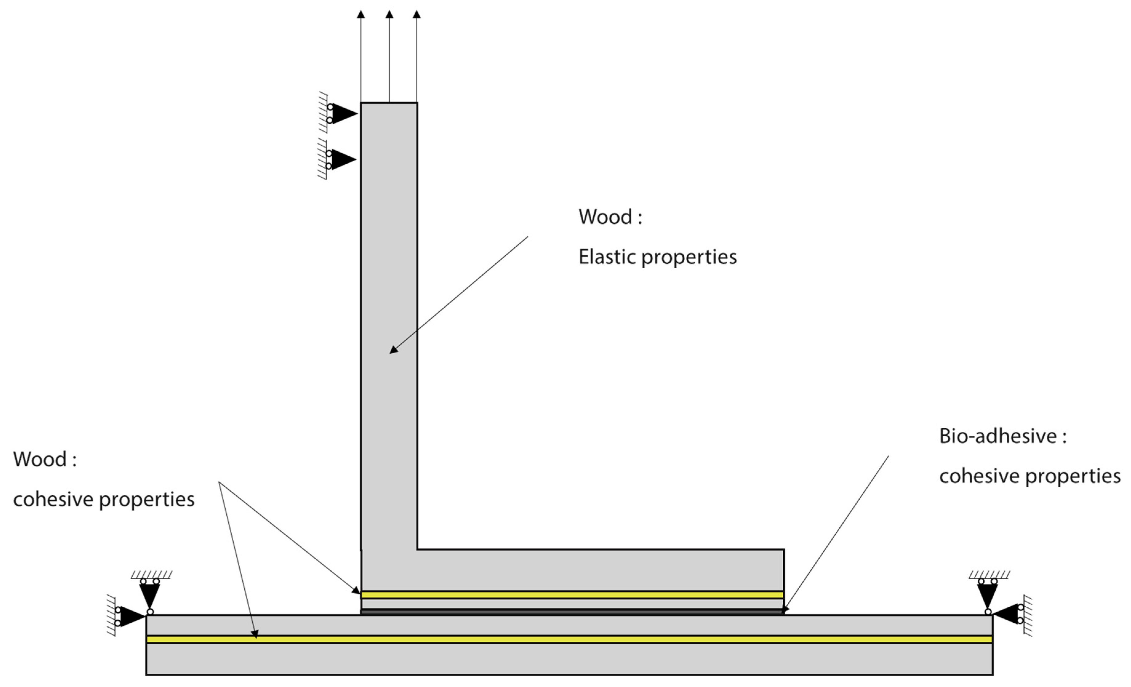 Polymers 16 02546 g005