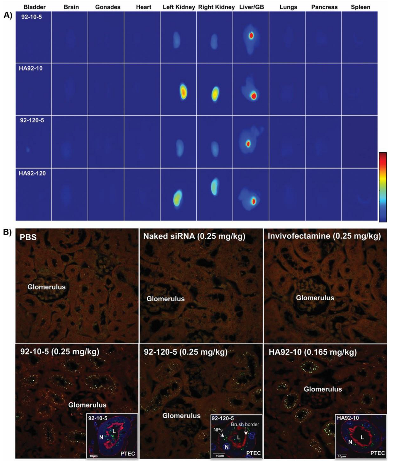 Polymers 16 02547 g003