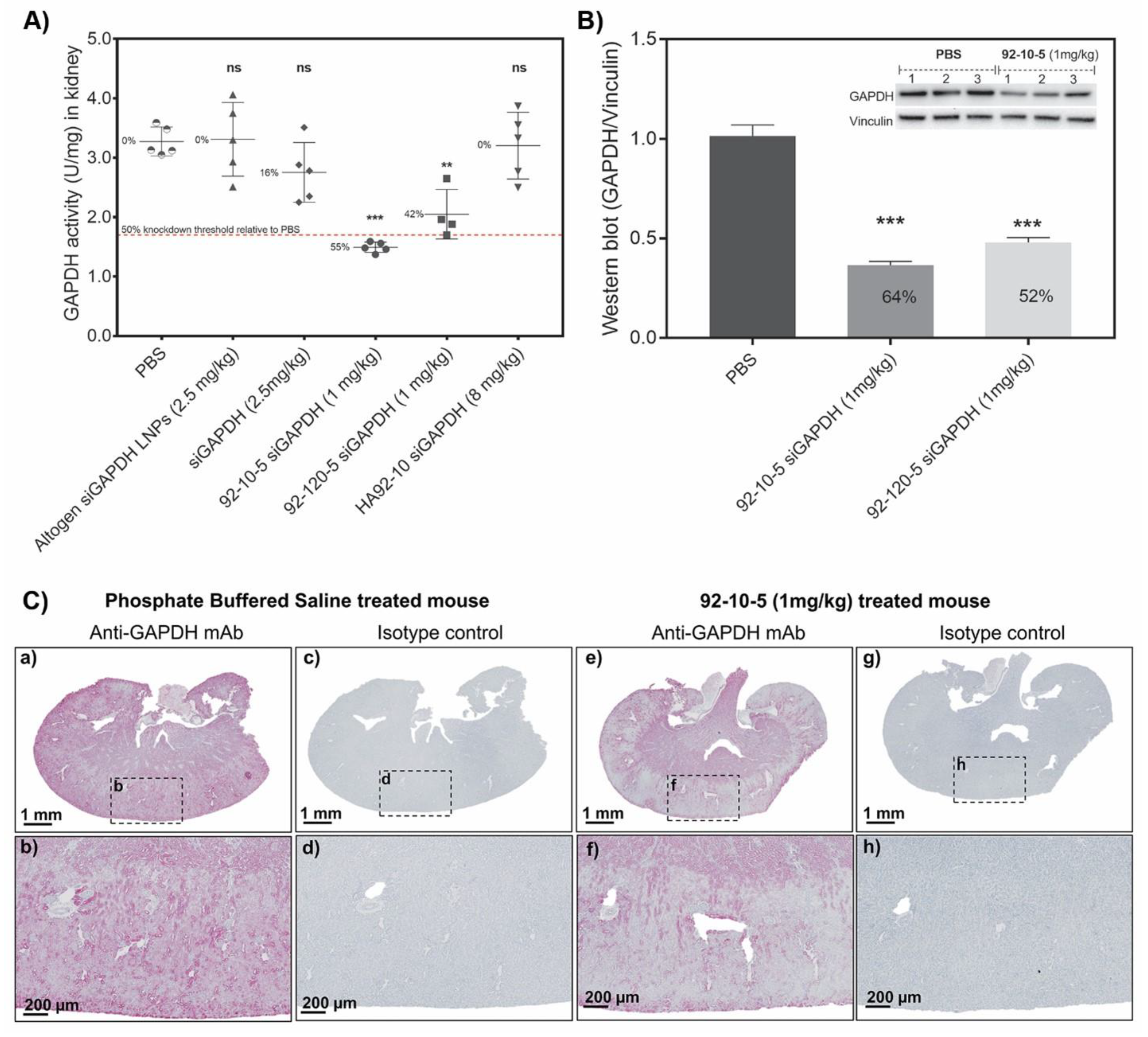 Polymers 16 02547 g008