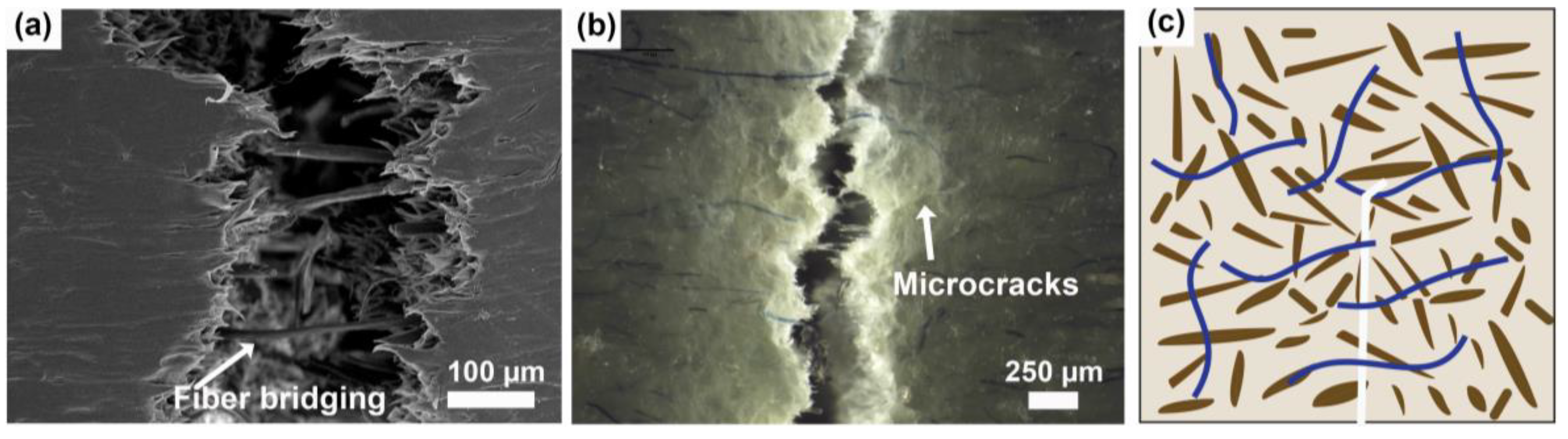 Polymers 16 02549 g009
