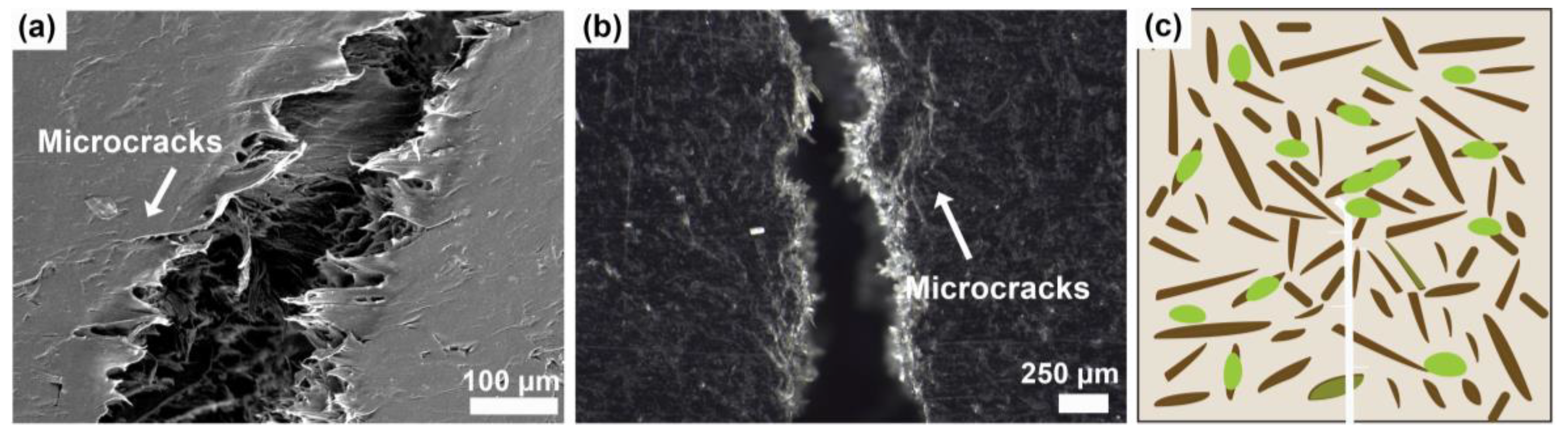 Polymers 16 02549 g010